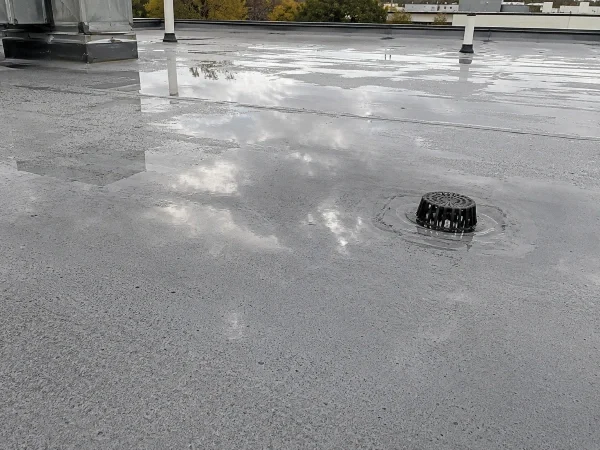 Ponding water on a flat commercial roof membrane after a rainstorm