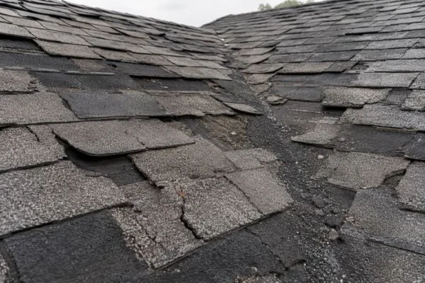Severely damaged shingles beyond rejuvenation repair candidacy