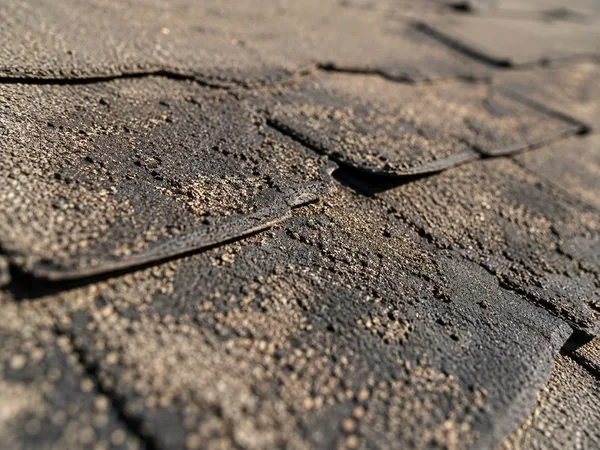 Sun-dried asphalt shingles losing granules before roof rejuvenation