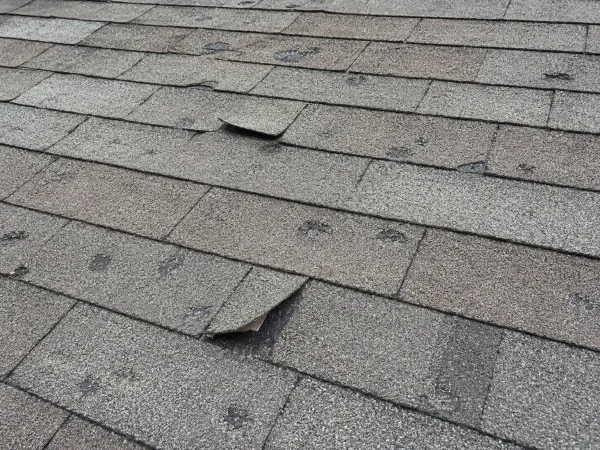 Close-up of hail and wind roof damage on asphalt shingles