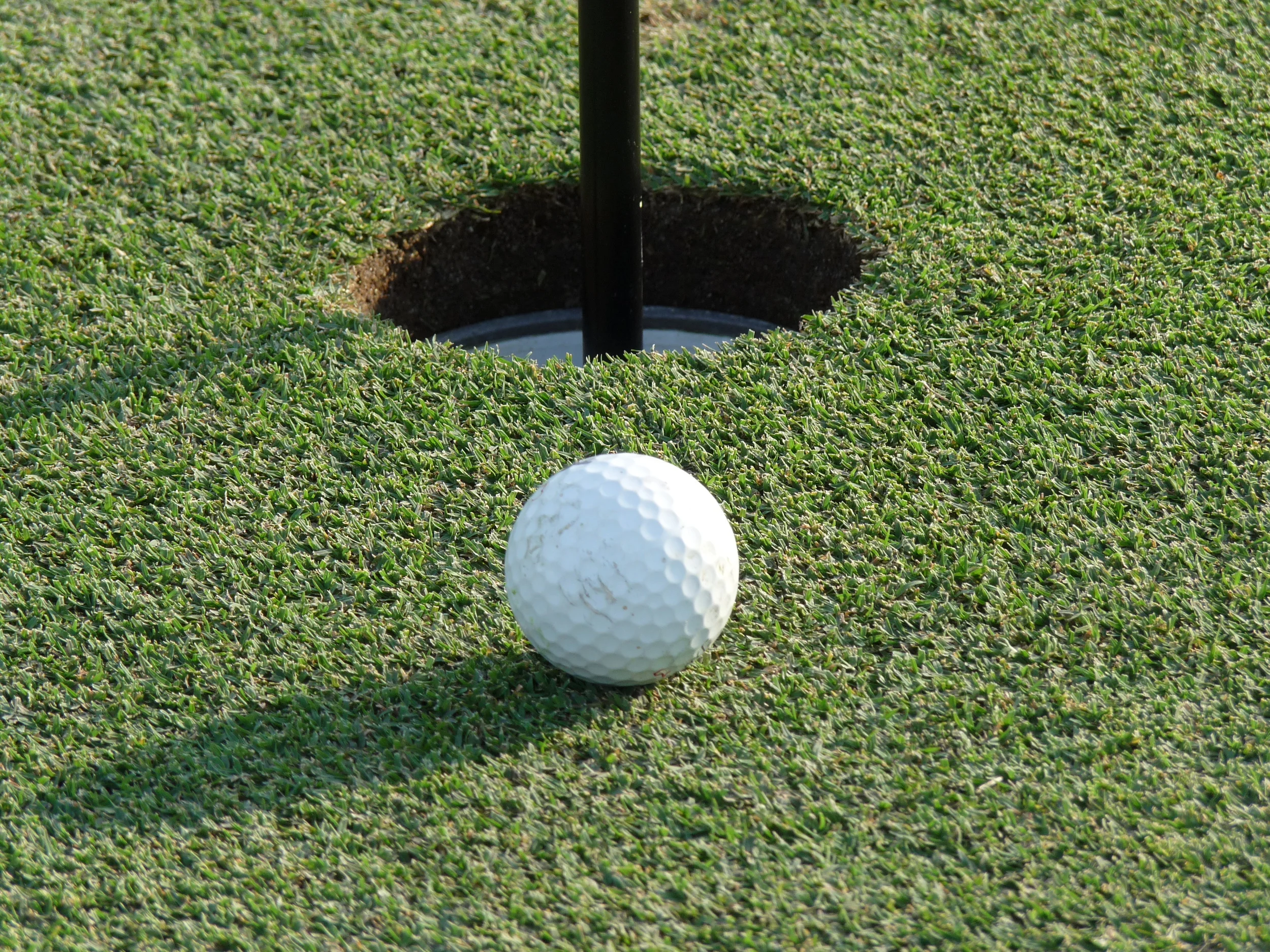 Good shot! P1010756.JPG