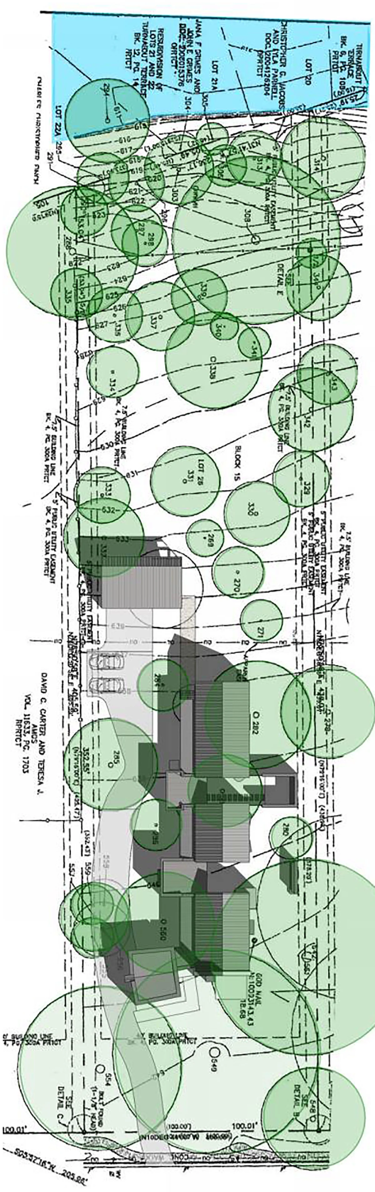 Site Plan showing Existing Trees