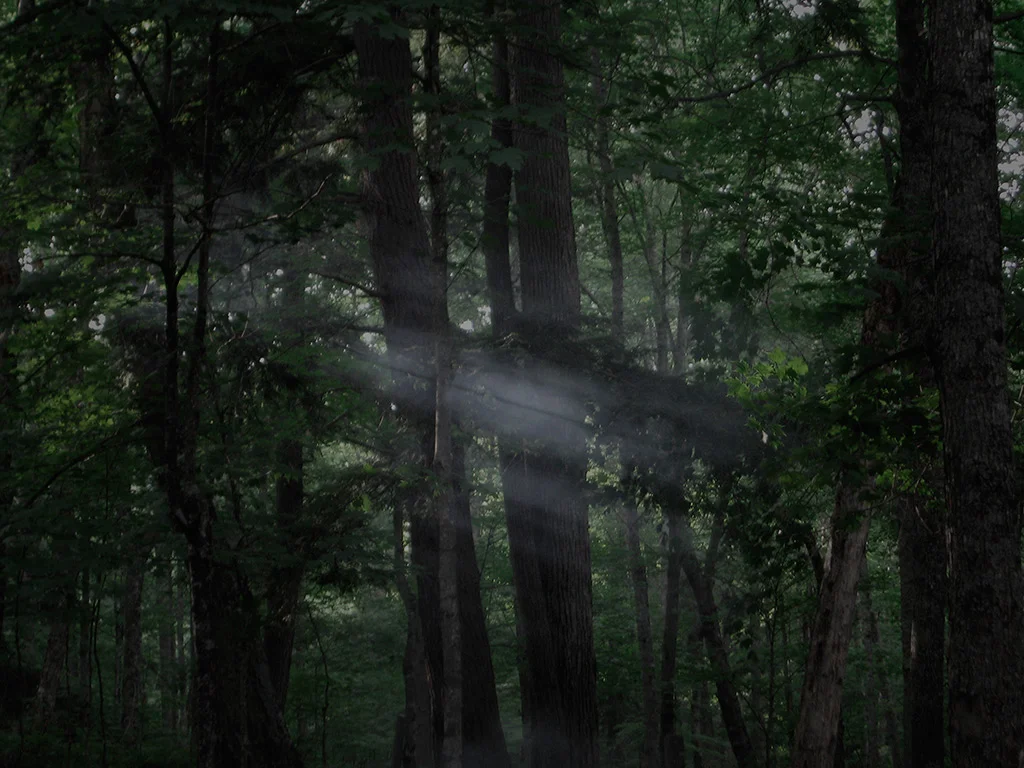 Untitled (family pictures); smoke