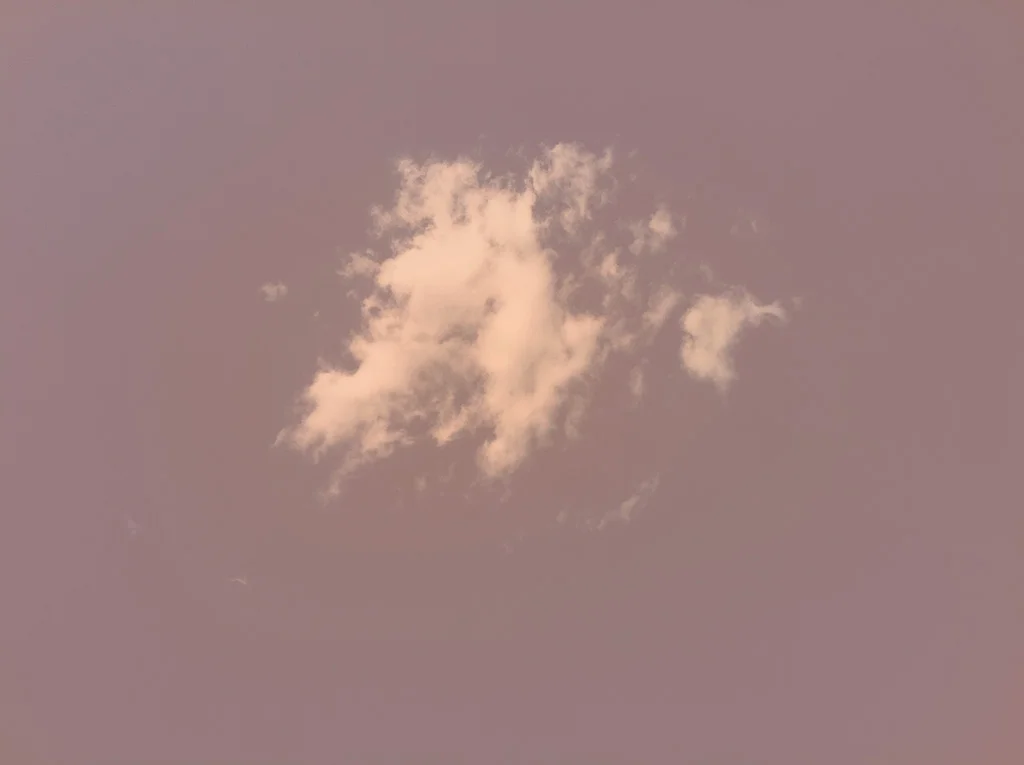 Untitled (family pictures); violet sky