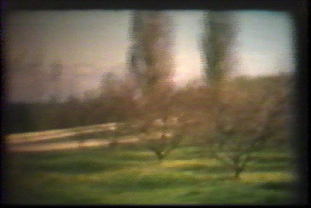 home (movies); orchard