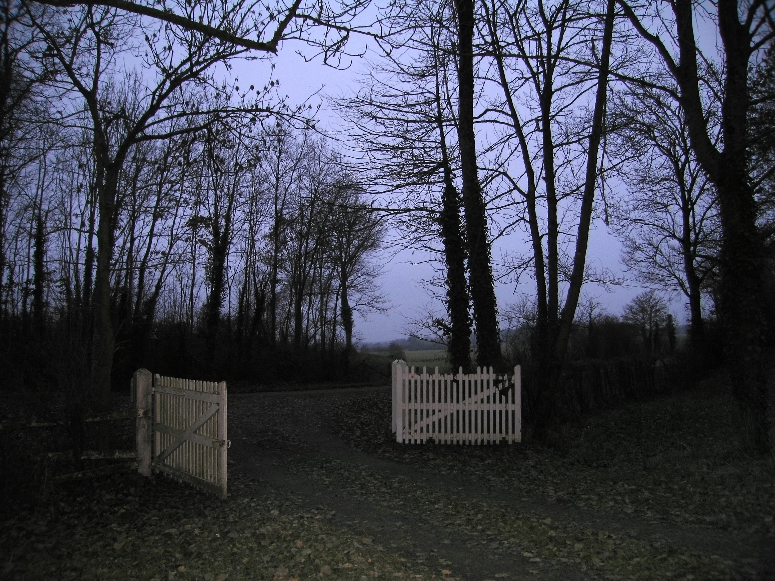 Untitled (family pictures); gate