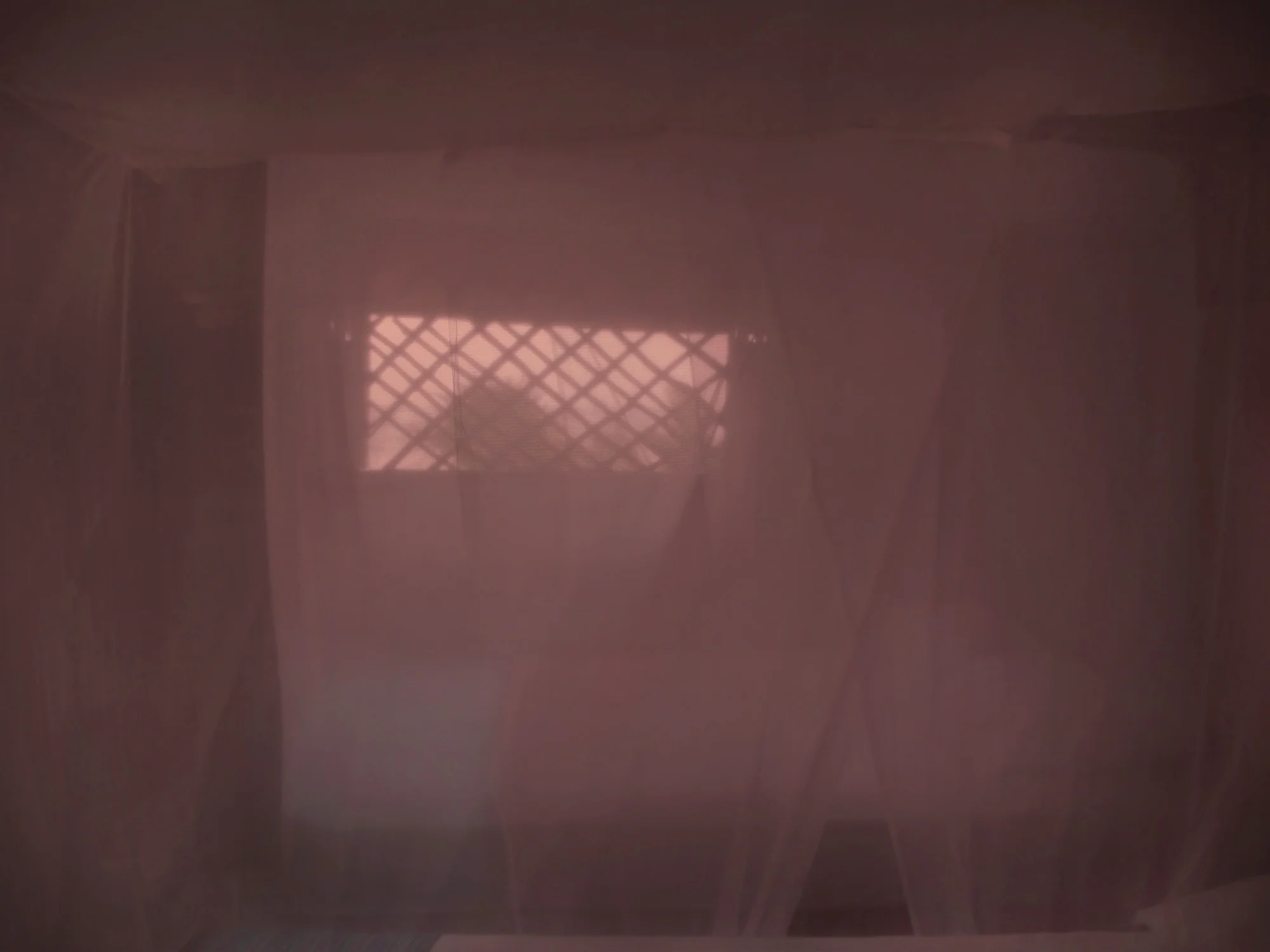 Shelter