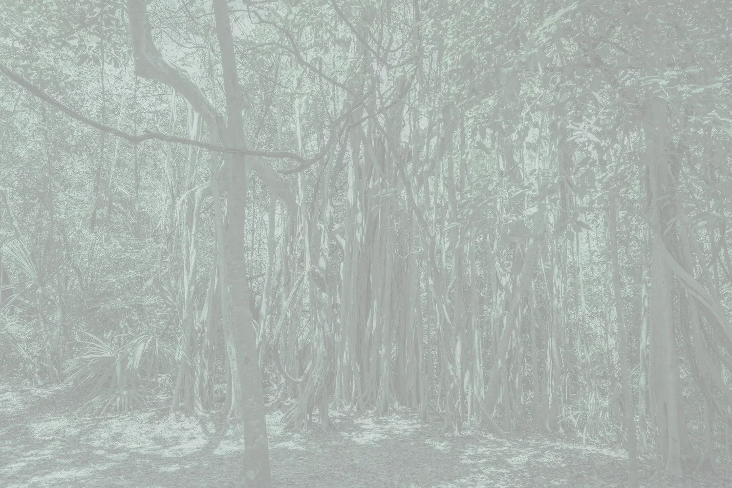 Biosphere