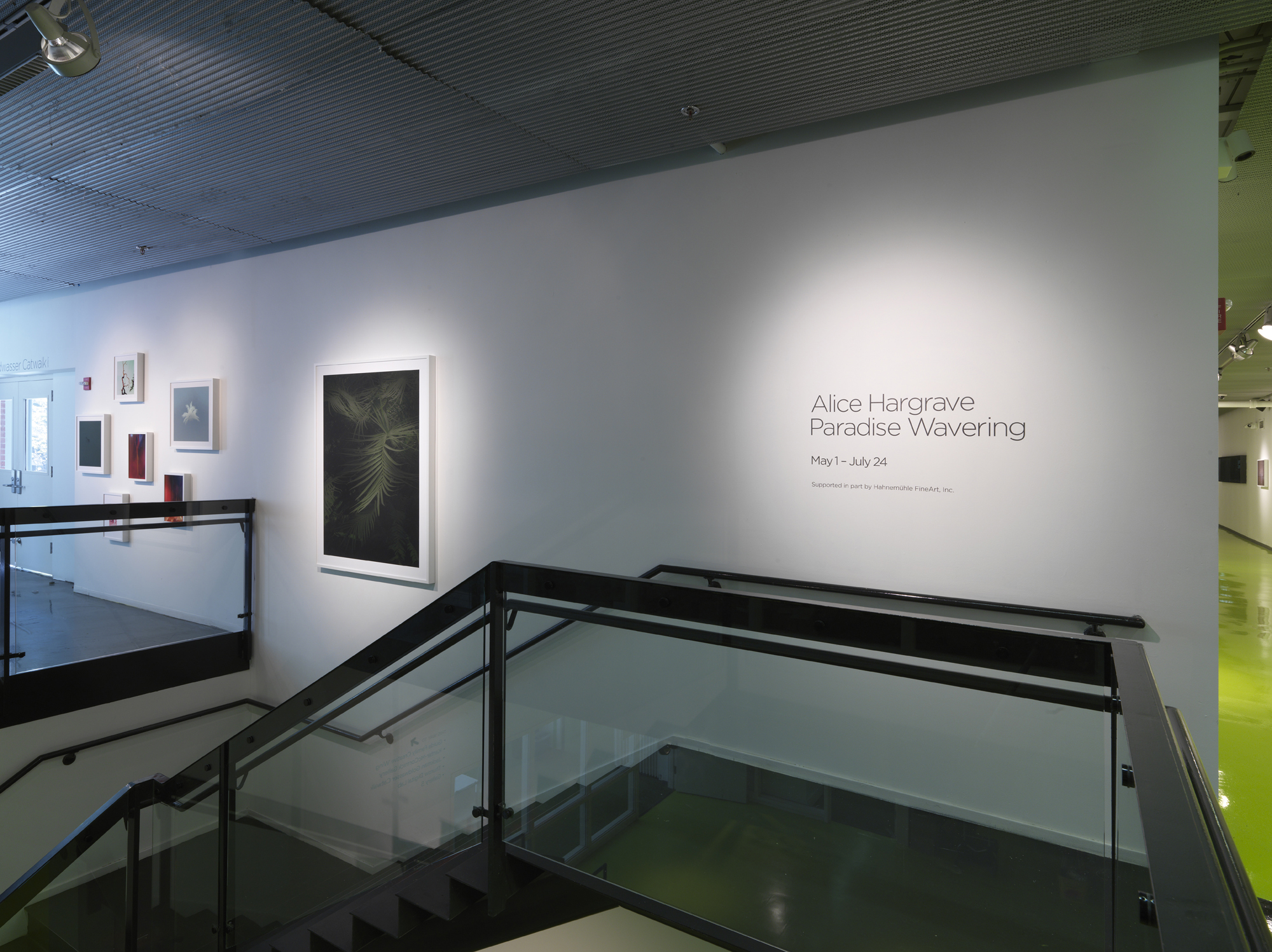 Paradise Wavering Hyde Park Art Center 2016