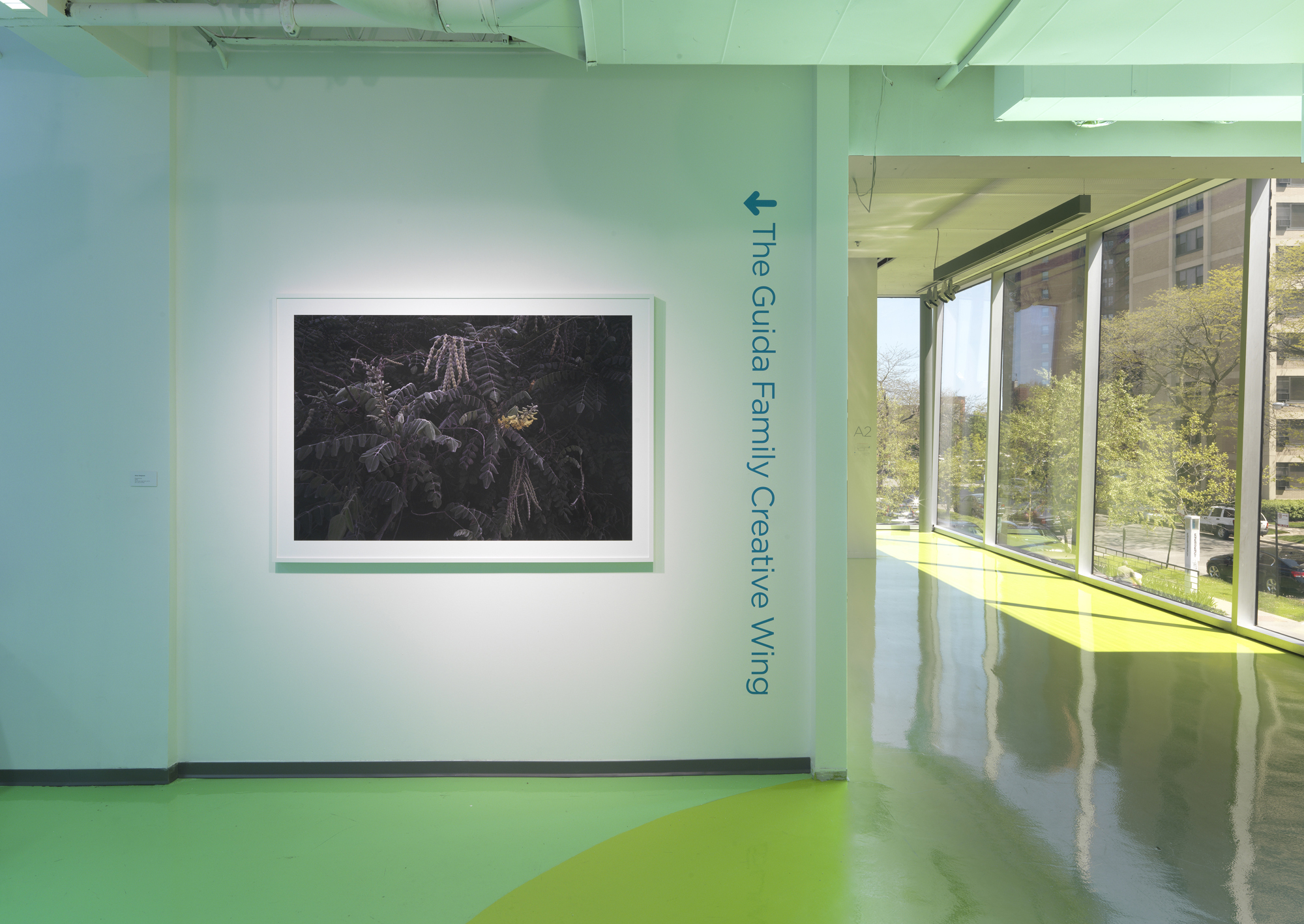 Esperanza Pigment Print 43" x 62" Hyde Park Art Center 2016