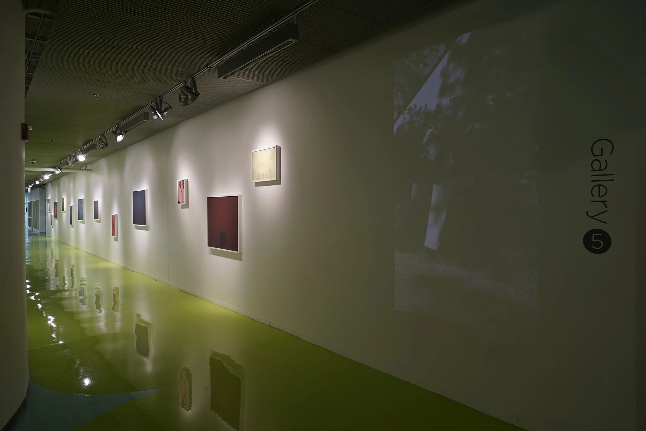 The Lull Video Projection Hyde Park Art Center 2016
