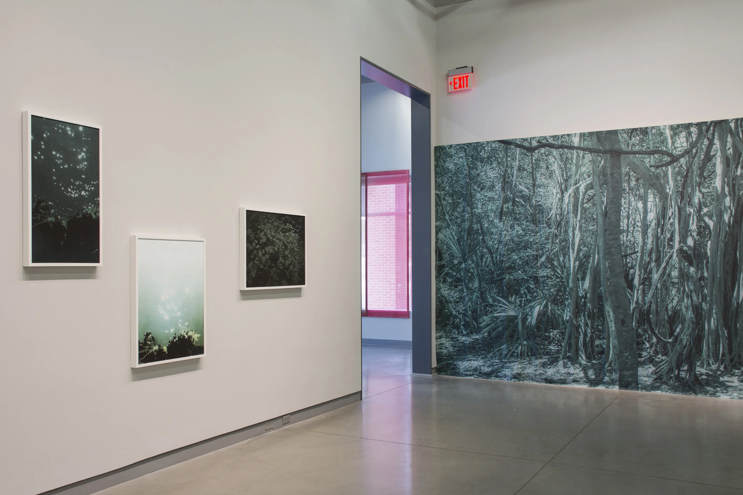 University Galleries, Paradise Wavering