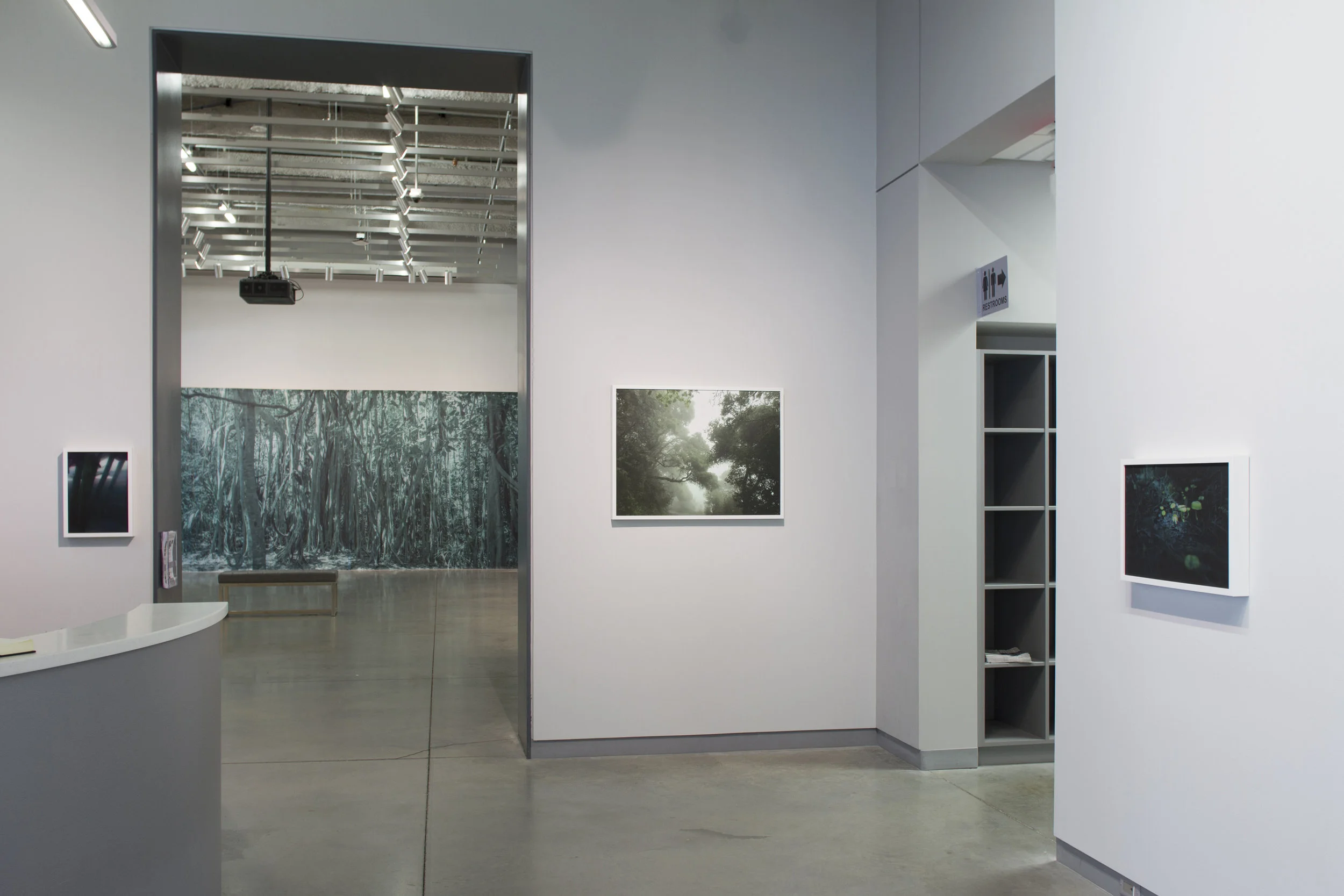 University Galleries, Paradise Wavering