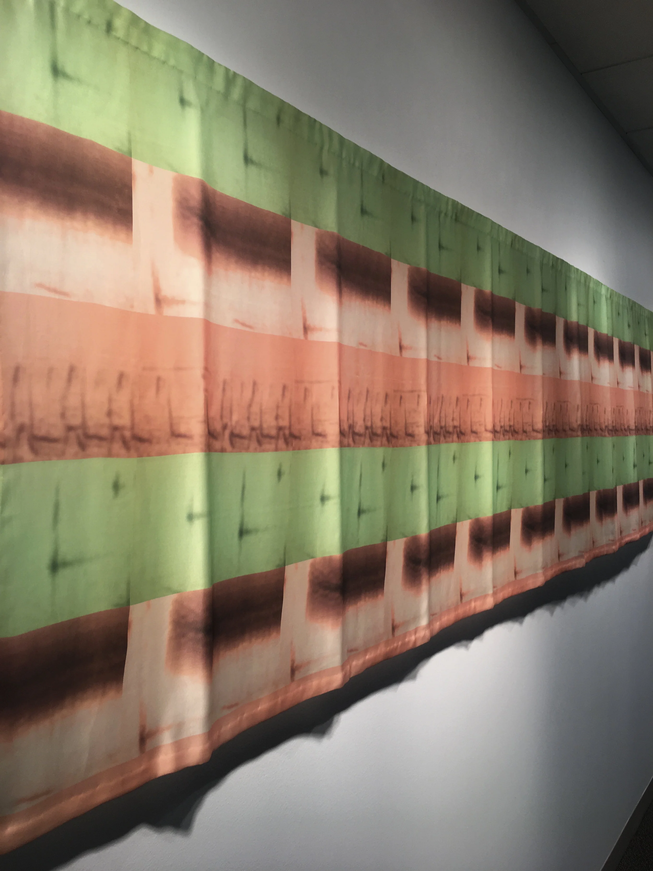 Florida Grasshopper Sparrow, last calls pigment print on jacquard silk 36" x 149" Archival recordings Courtesy The Cornell Lab of Ornithology PINK NOISE Exhibition at Veeck Gallery 2018