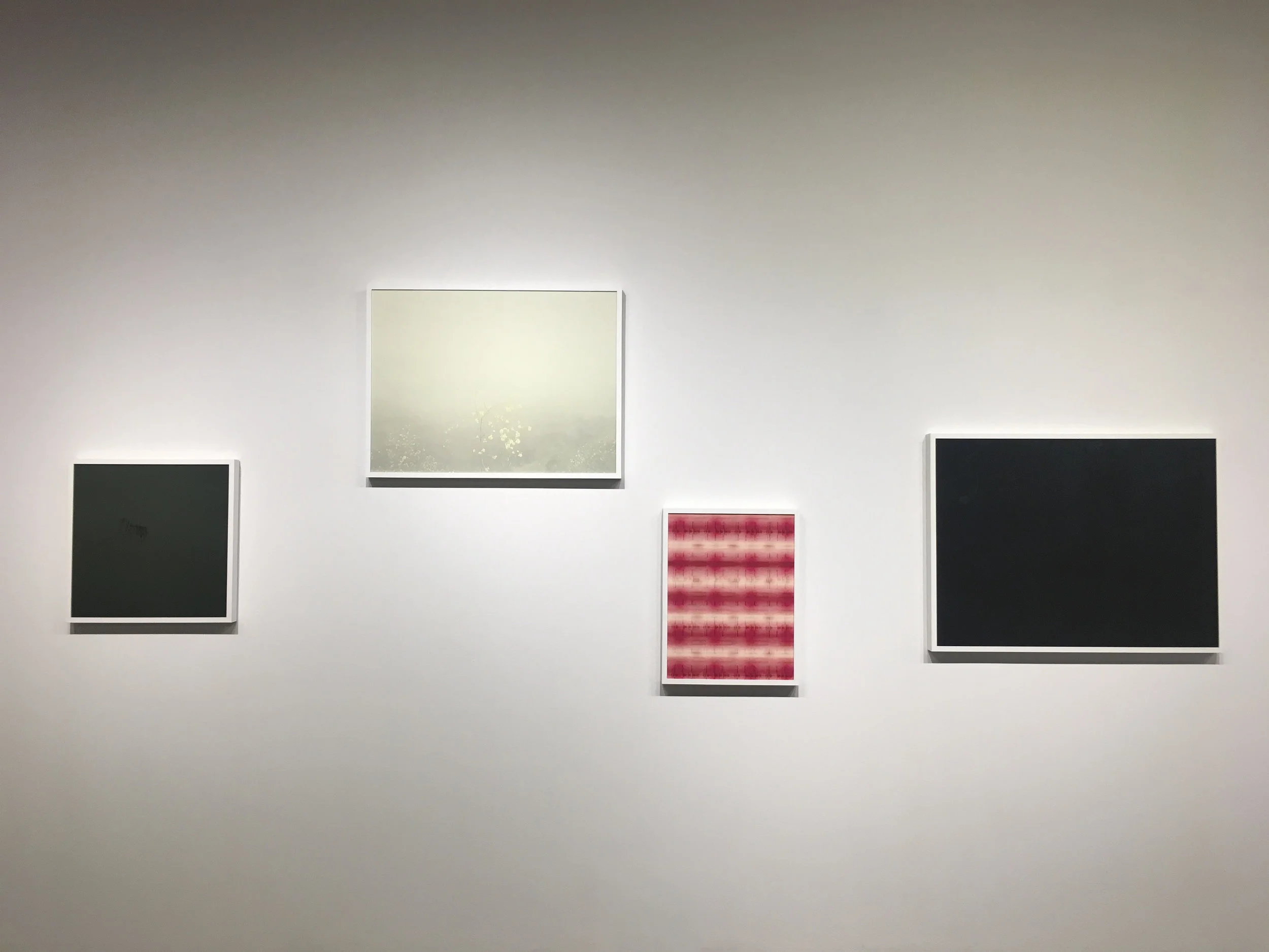 Installation view with Ciconia ciconia, White Stork (calls)