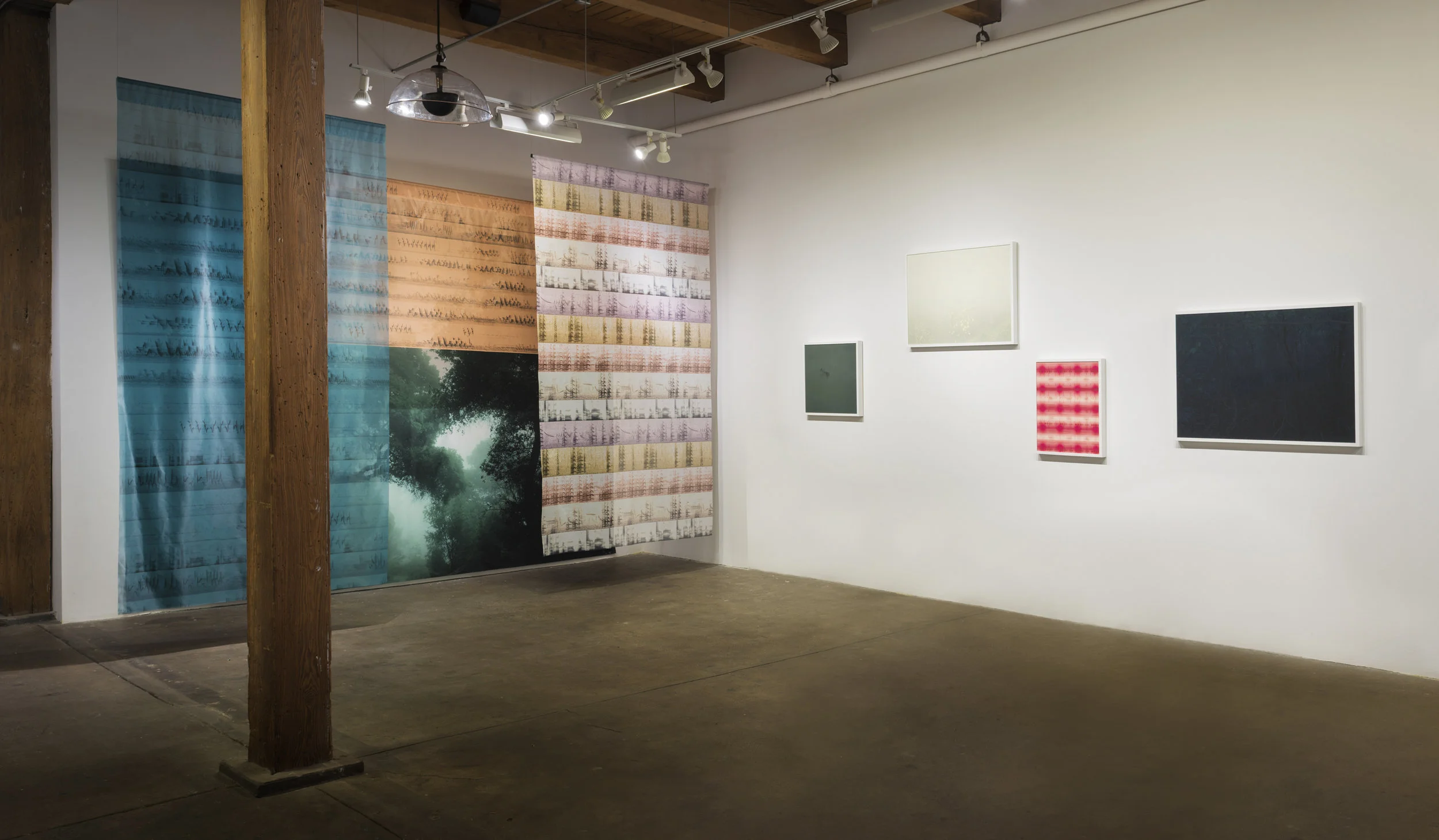 Carrie Secrist Gallery 2018 Truth Claim / Green Daze, Migration (Nene, and Indigo Bunting, male and female) Solvent prints on silk and shear fabric / 10’ x 16’ x 6’ Green Daze (10’ x 16’) Indigo Bunting female, calls (40” x 12’ ) Nene, mating calls (10’ x 72”) Indigo Bunting male, calls (10’ x 60”) Tidal Haiku / Yellow Drift / Ciconia ciconia, White Stork (calls) / Mangroves Parabolic Speaker Audio Installation On any Given Night: migration season along the Mississippi Flyway (audio installation) Sound editing by Alex Drosen Audio File / Loop 20 minutes Recordings from 1950- 2016 by Arthur A. Allen, Gregory Budney, Martha Fischer, William W.H. Gunn, Justin Hite, Peter Keane, Geoffrey A. Keller, Bob McGuire, Steven R.Pantle, Thomas G. Sandler, and Gerrit Vyn All Courtesy The Cornell Lab of Ornithology