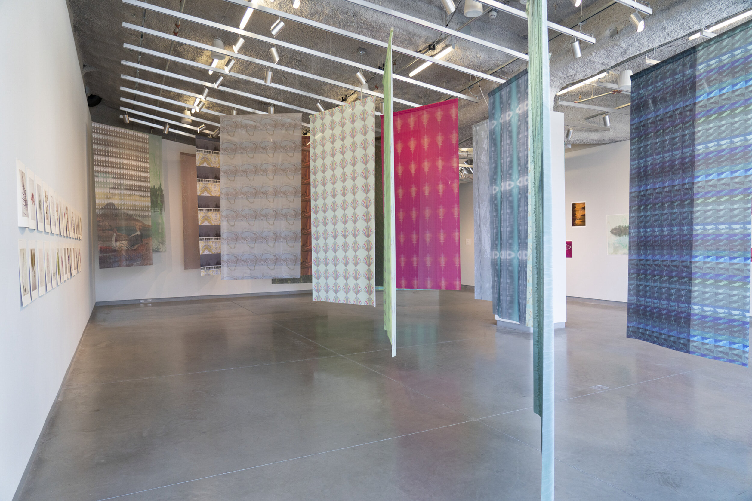 The Canary in the Lake, Installation View