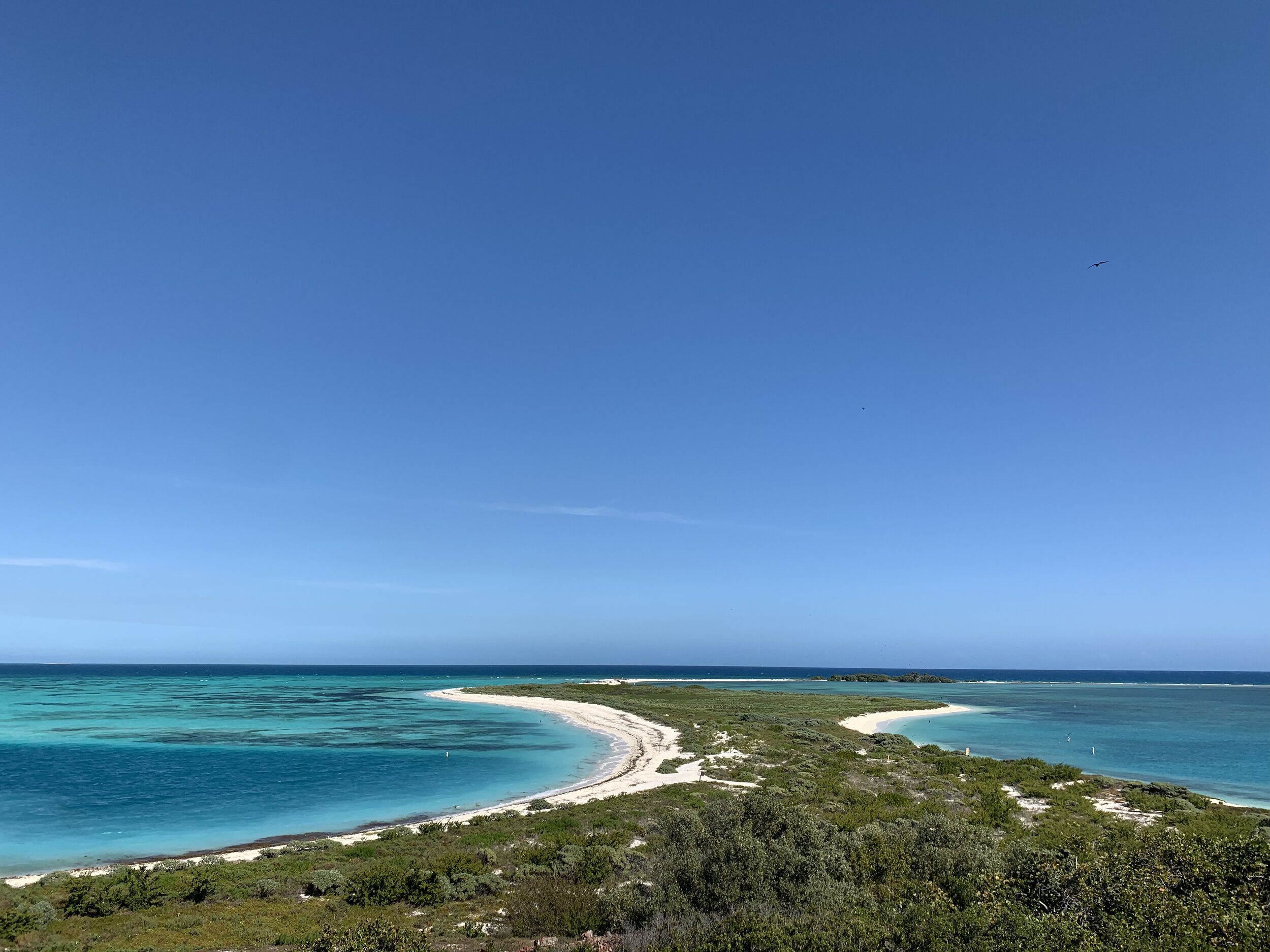 Dry Tortugas