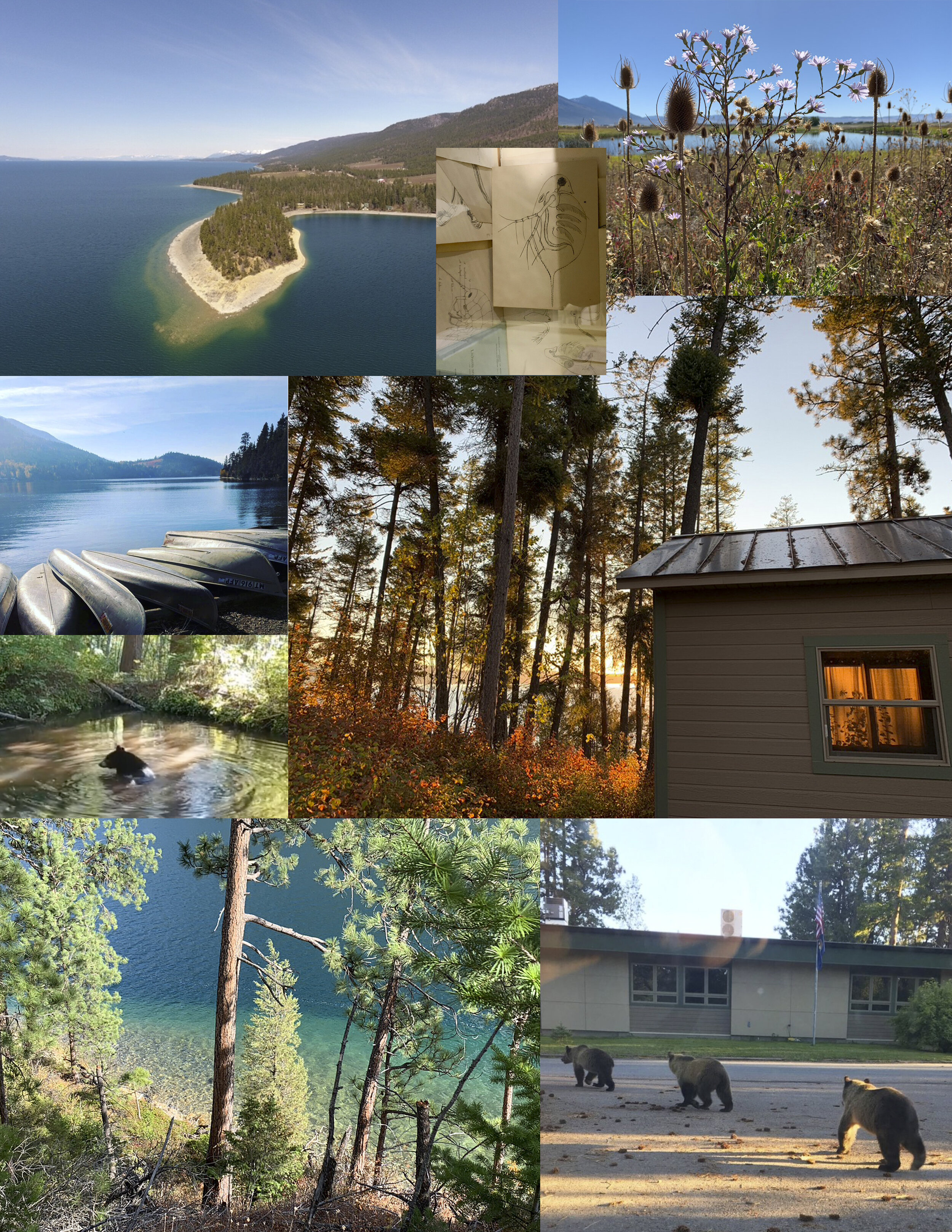 Artist Residency - OPEN AIR MT,  at The Flathead Lake Biological Station 