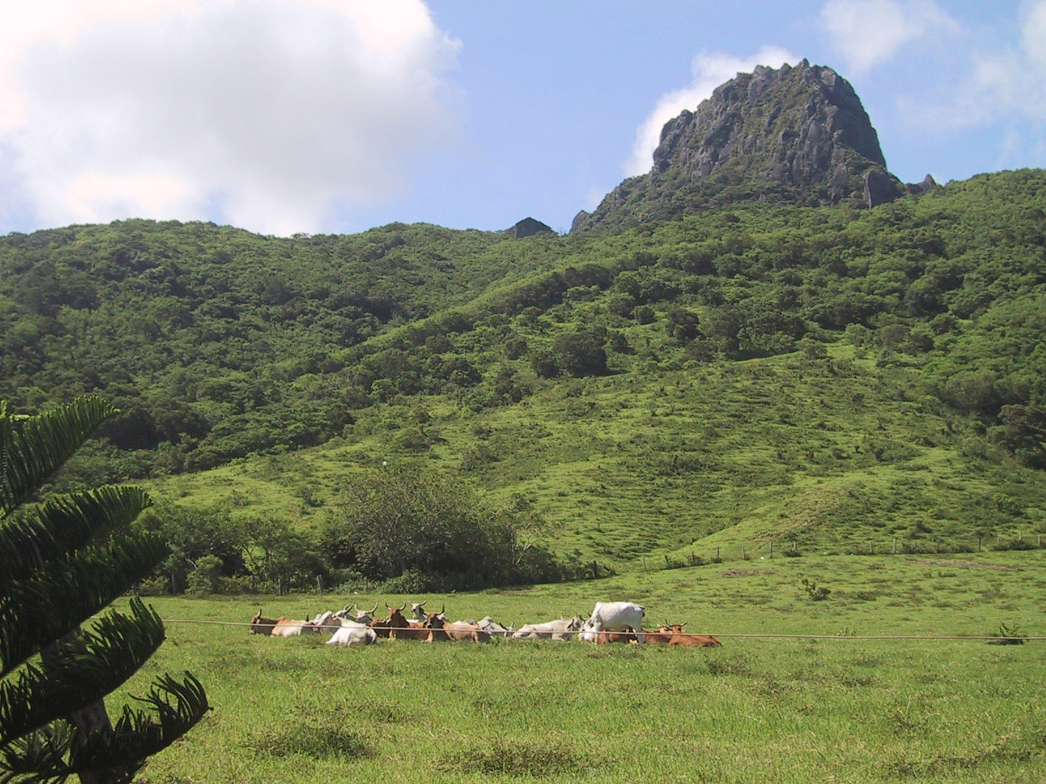 mountain-kenting,-Taiwan-01.jpg