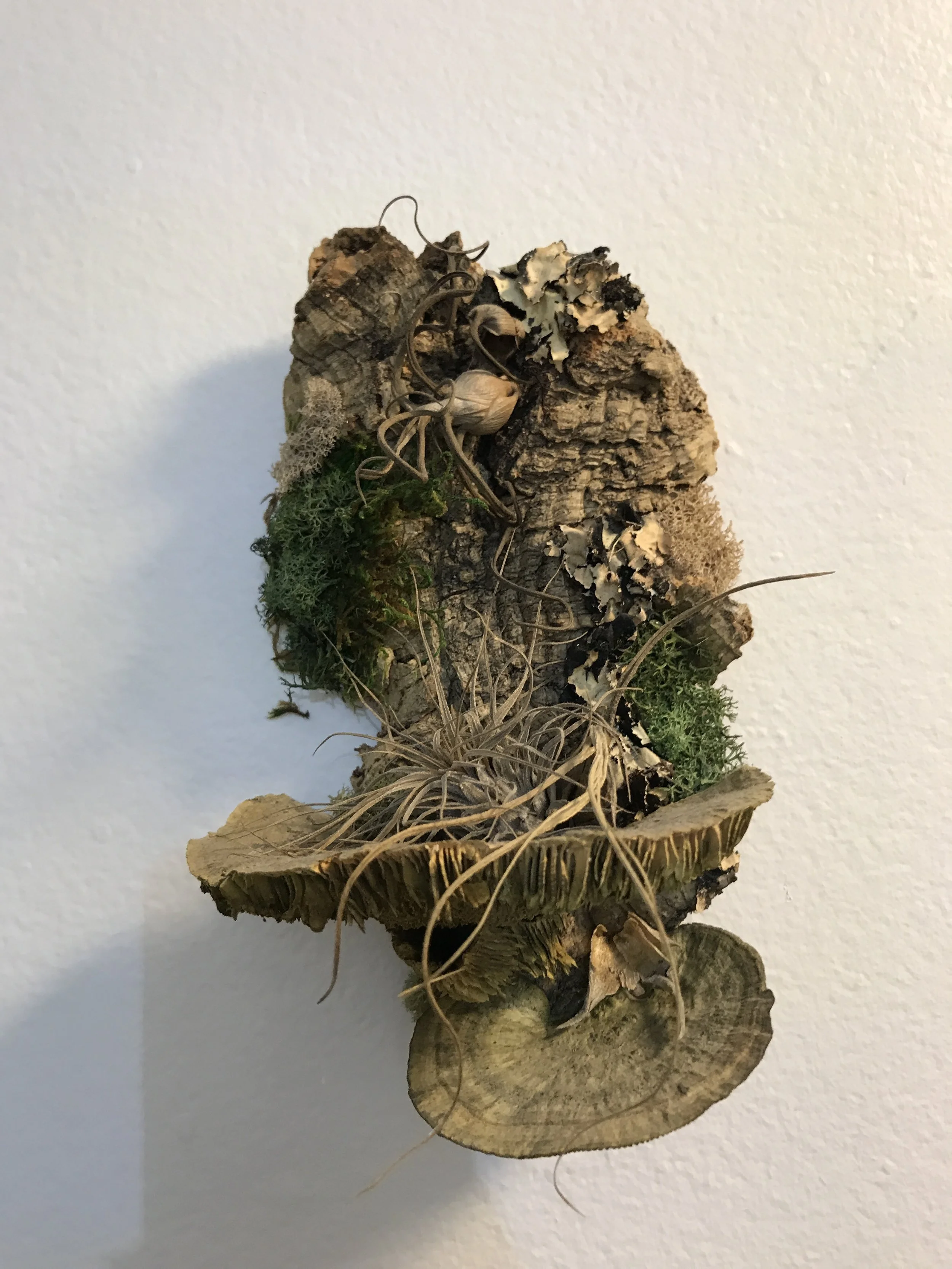 plant-art-small.JPG