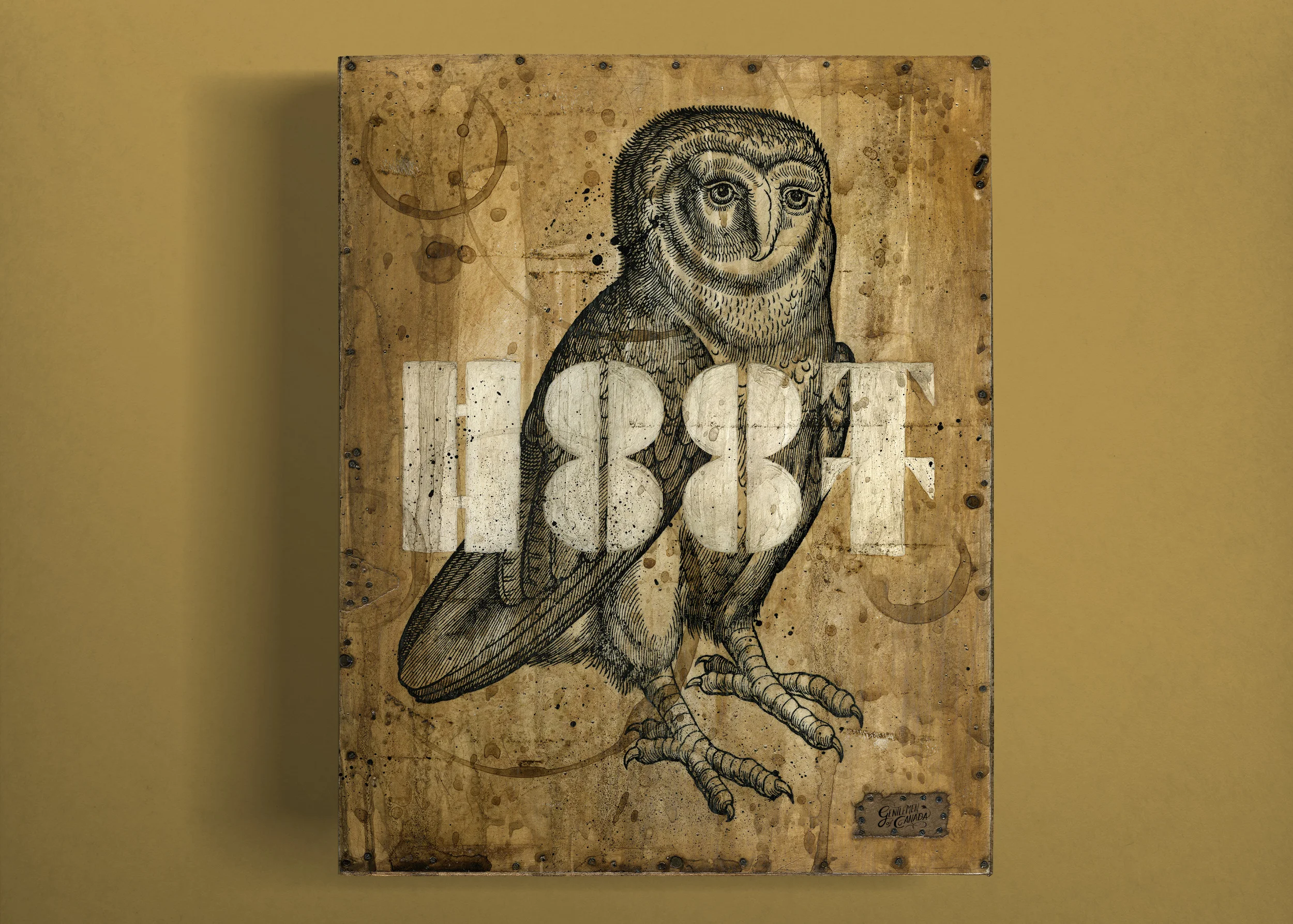 Hoot_Hor.jpg