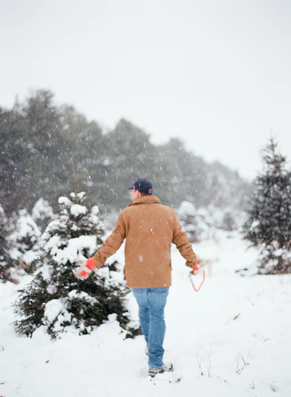 christmas-trees-wausau-wi-003.jpg