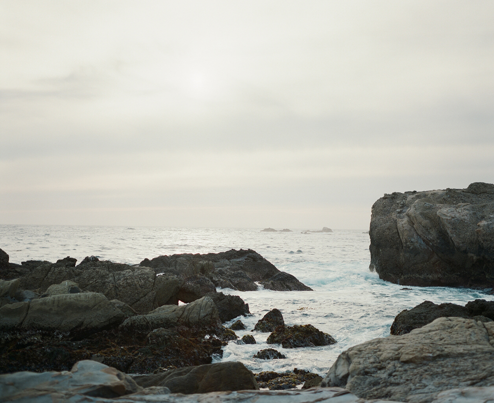 Point_Lobos_CA_Portraits_019.jpg