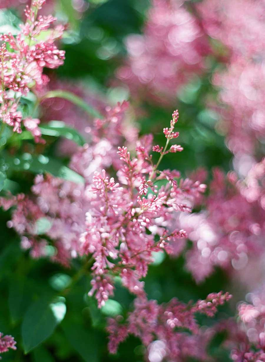 Door_County_Wedding_001.jpg