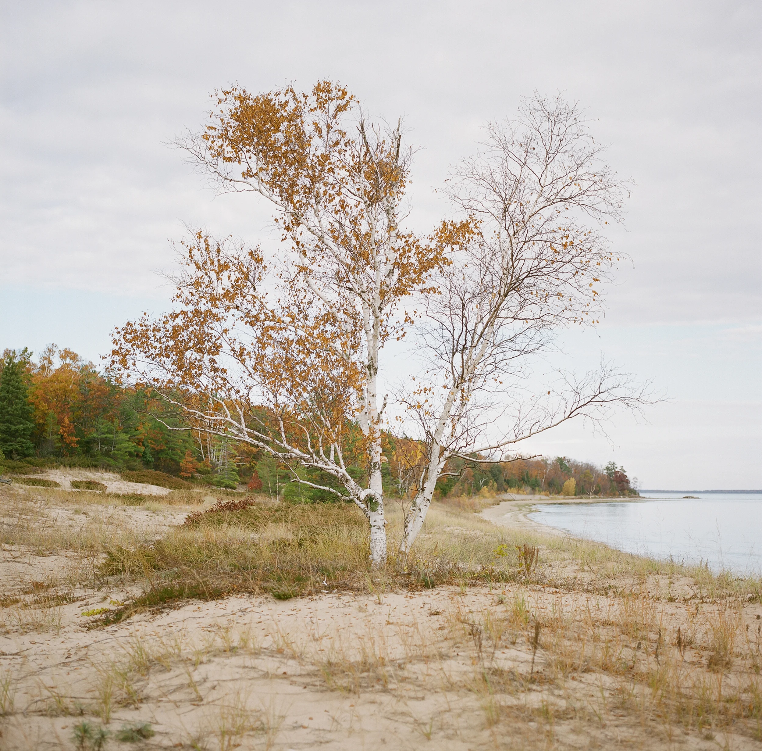 Door-County-WI-04.JPG