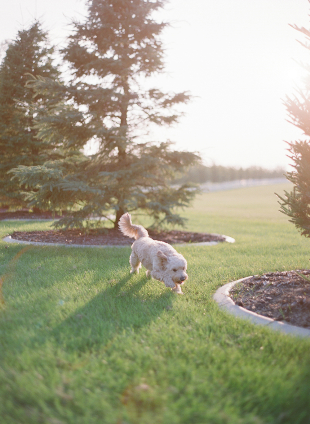 Wausau_WI_Engagement_Photographer_013.jpg