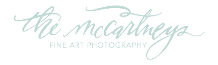 The McCartneys Photography - Wisconsin Wedding Photographers