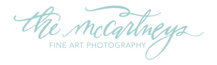 The McCartneys Photography - Wisconsin Wedding & Portrait Photographers