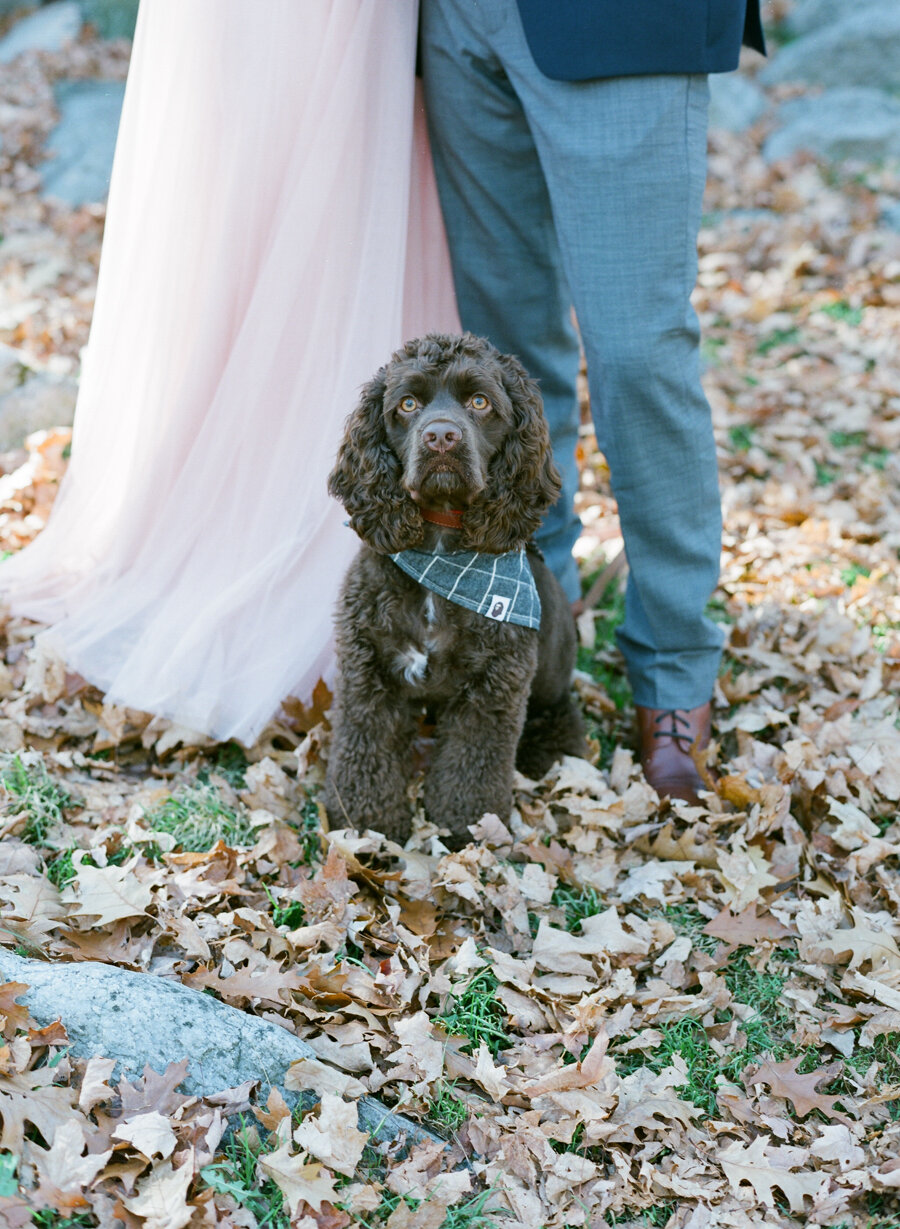 Wisconsin-Engagement-Photos-3.jpg