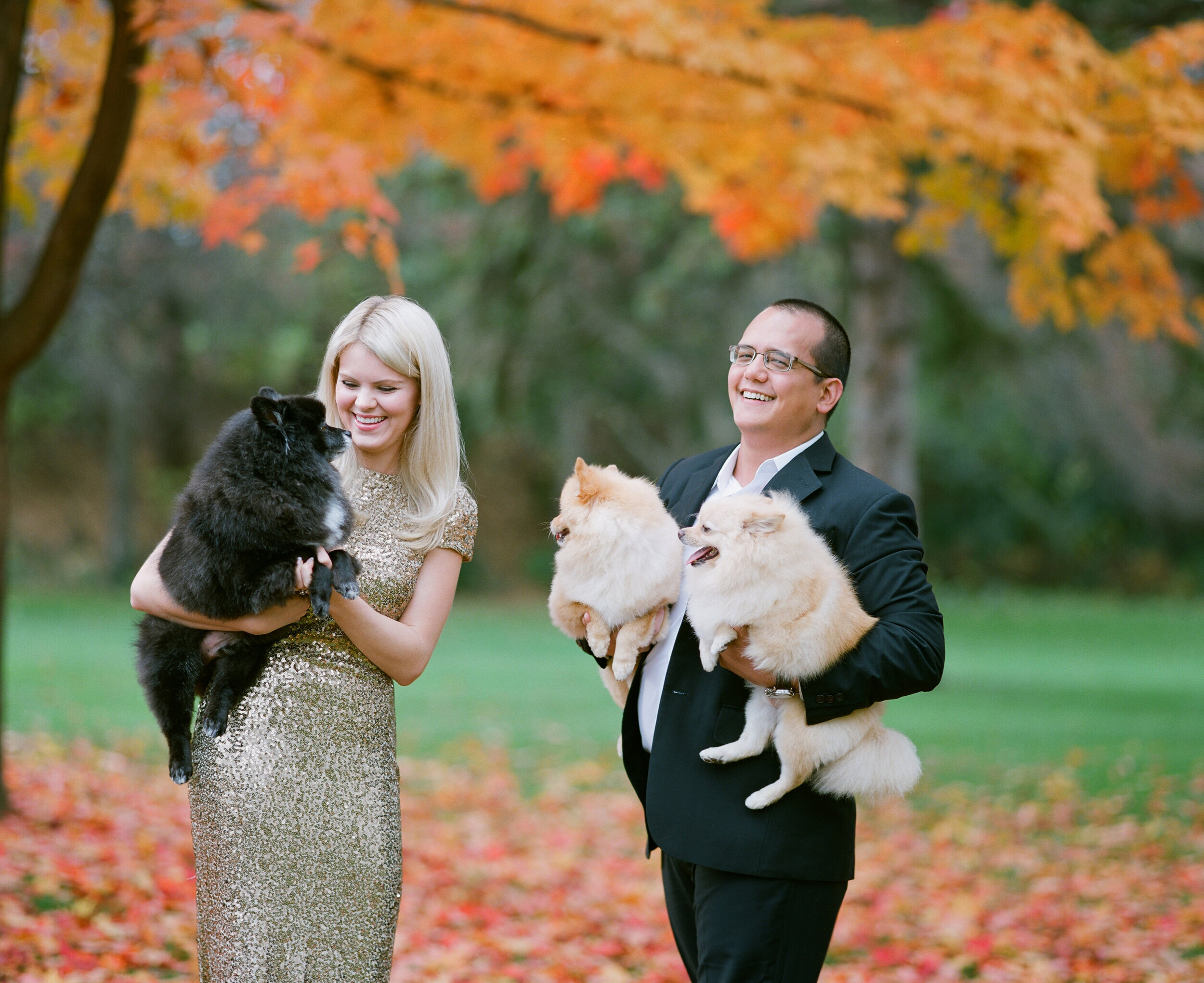 "fall portrait sessions in wausau wisconsin"