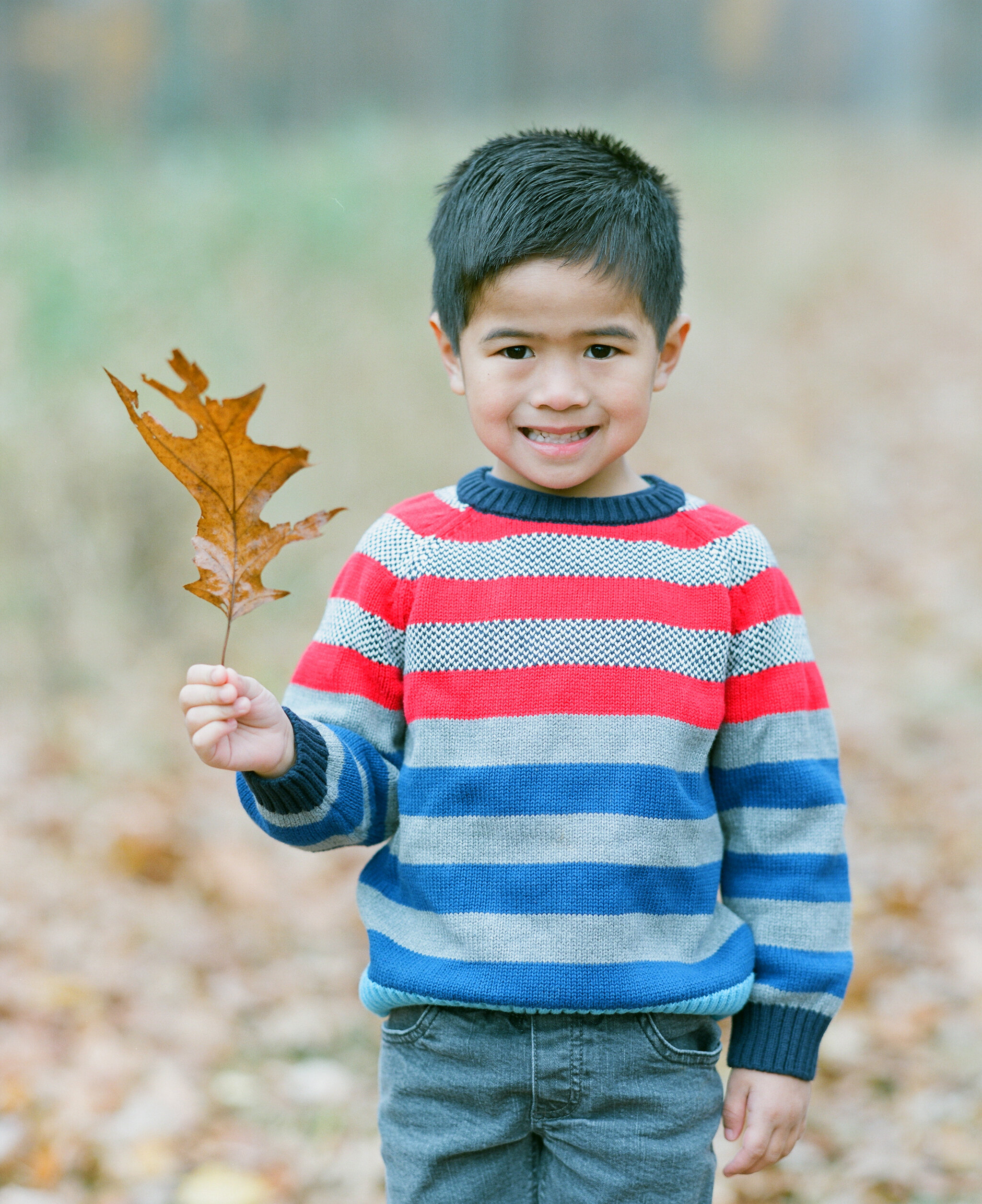 family portraits in wisconsin