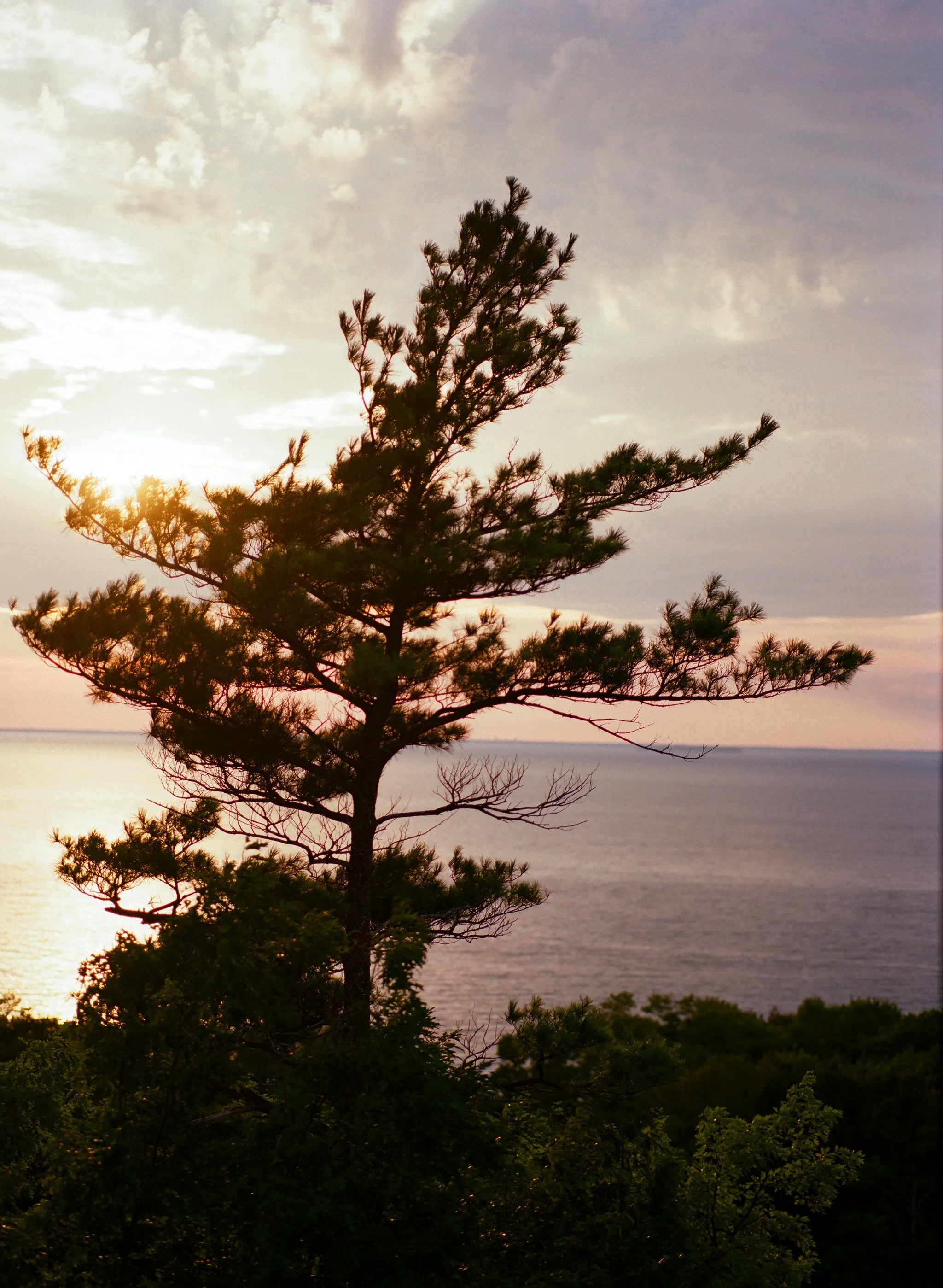 MN021-000088530016.jpg