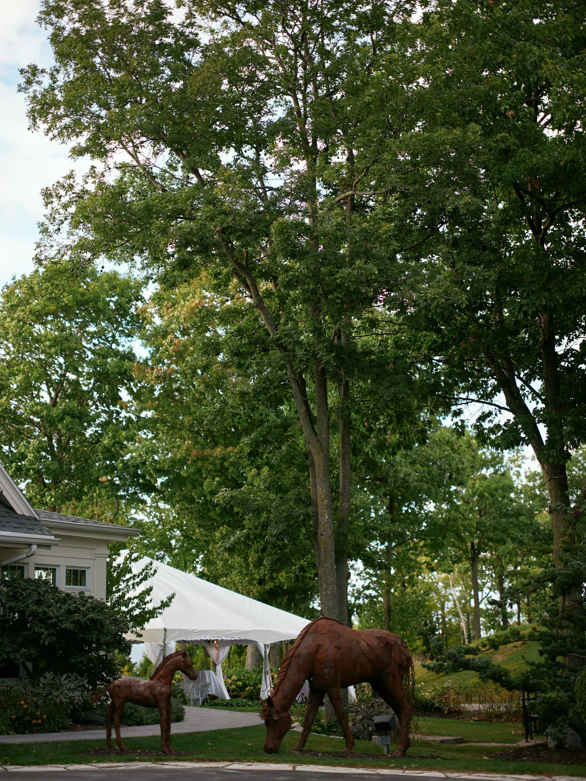 006-Fall-Wisconsin-Wedding.JPG