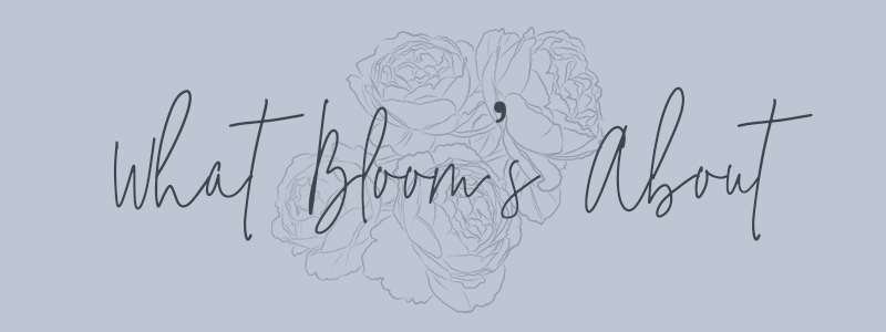 the bloom workshop
