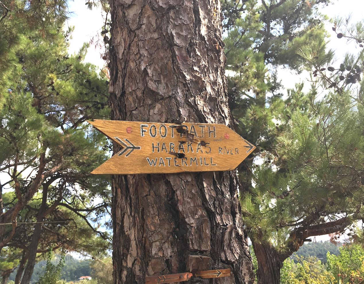 Start of the footpath to the Watermill