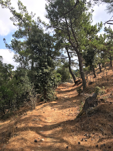 Footpath area towards some small farms
