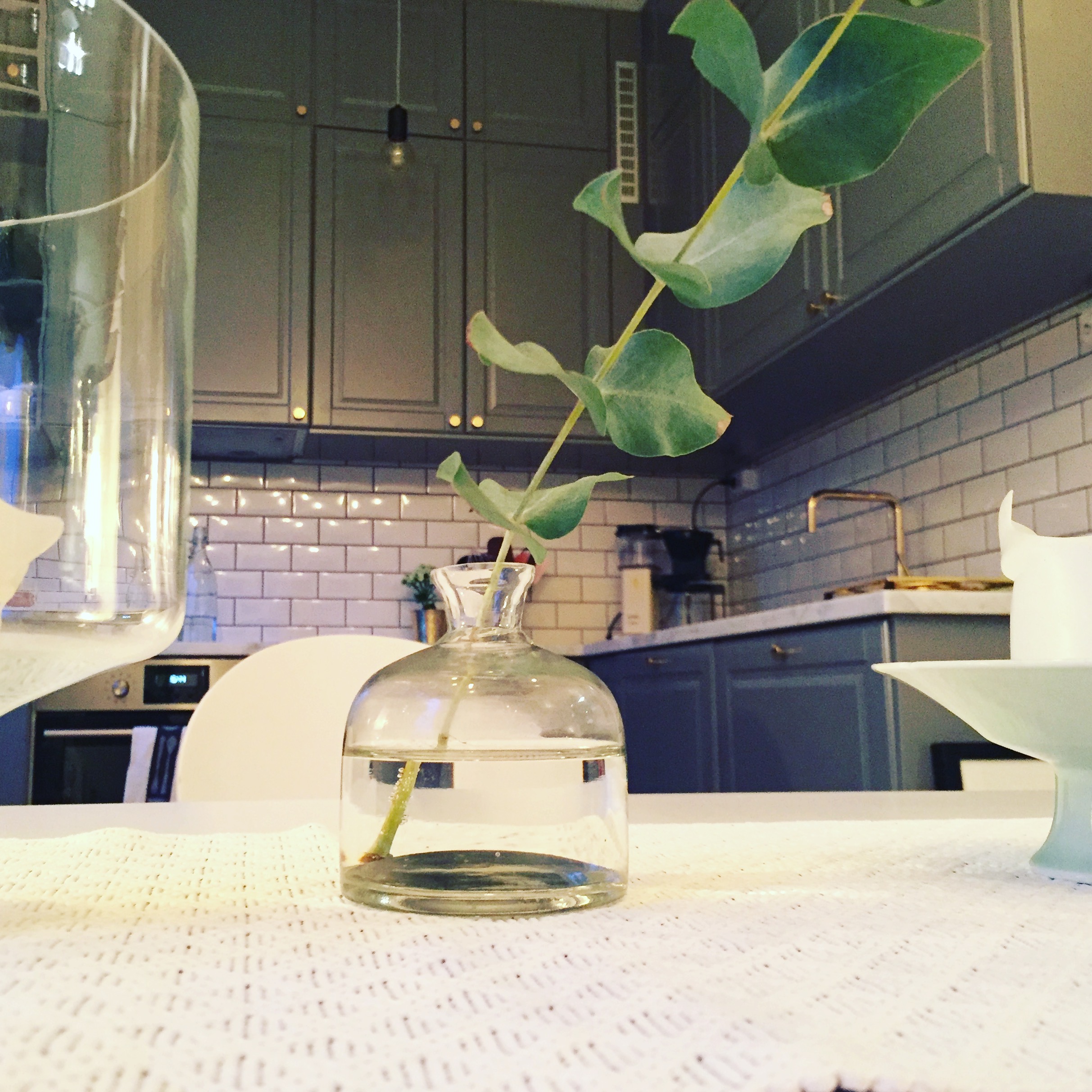 Hello little cute vase and beautiful greenery!