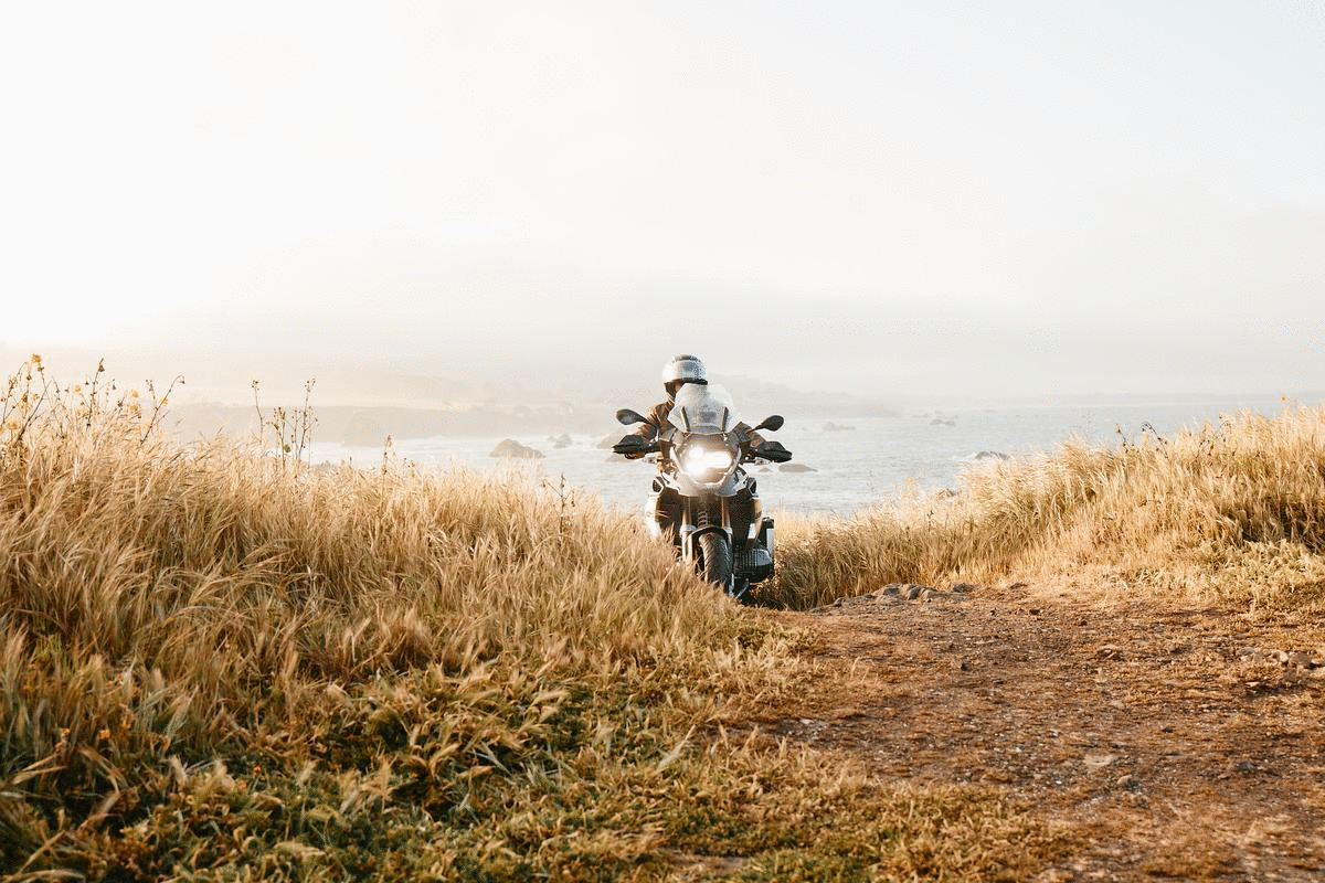 Moto_Gif2.gif