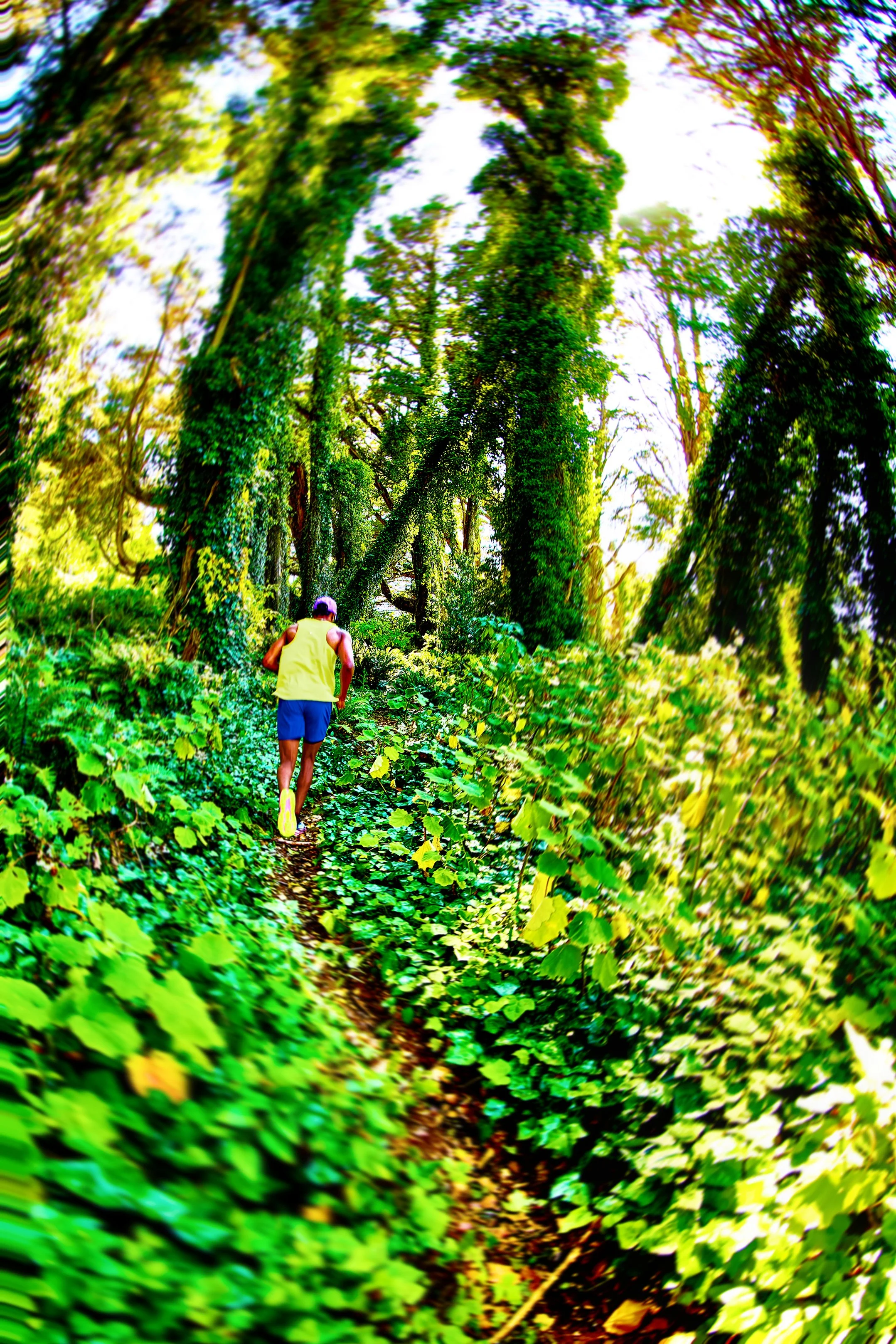 TommySullivan_1.jpg