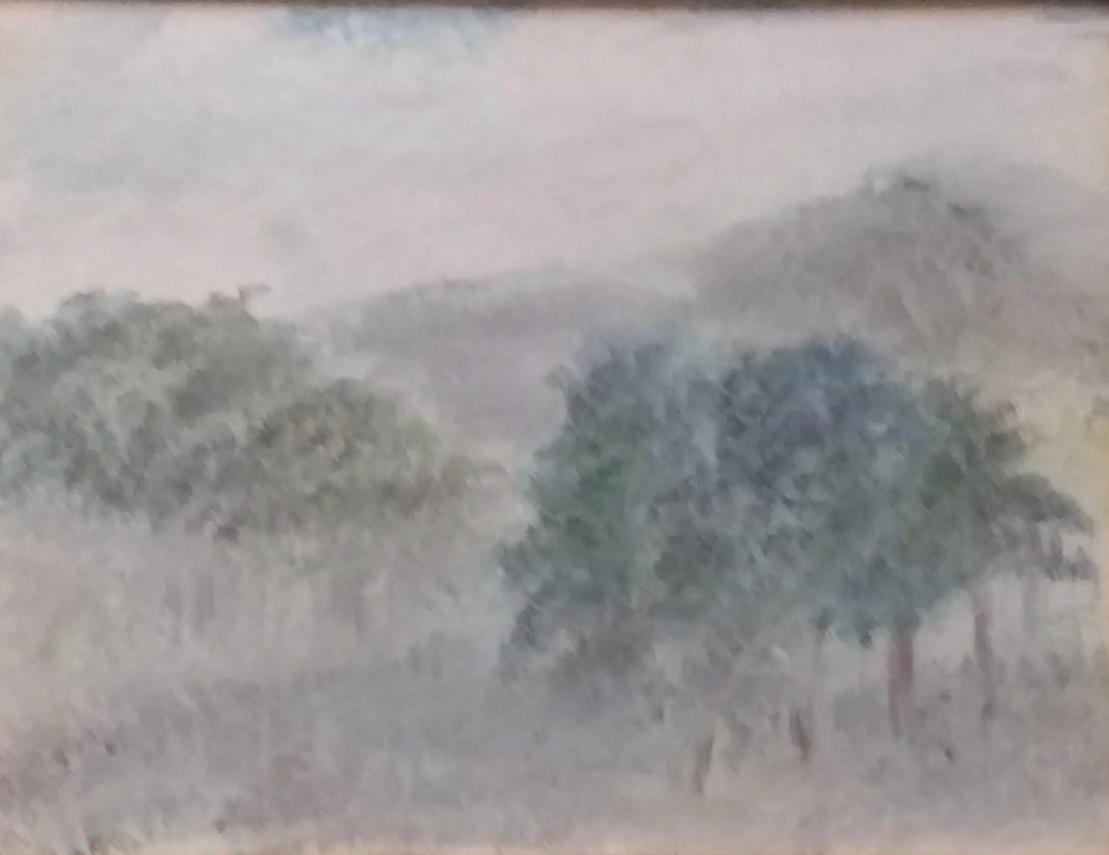 ENCHANTED MEADOW.jpg