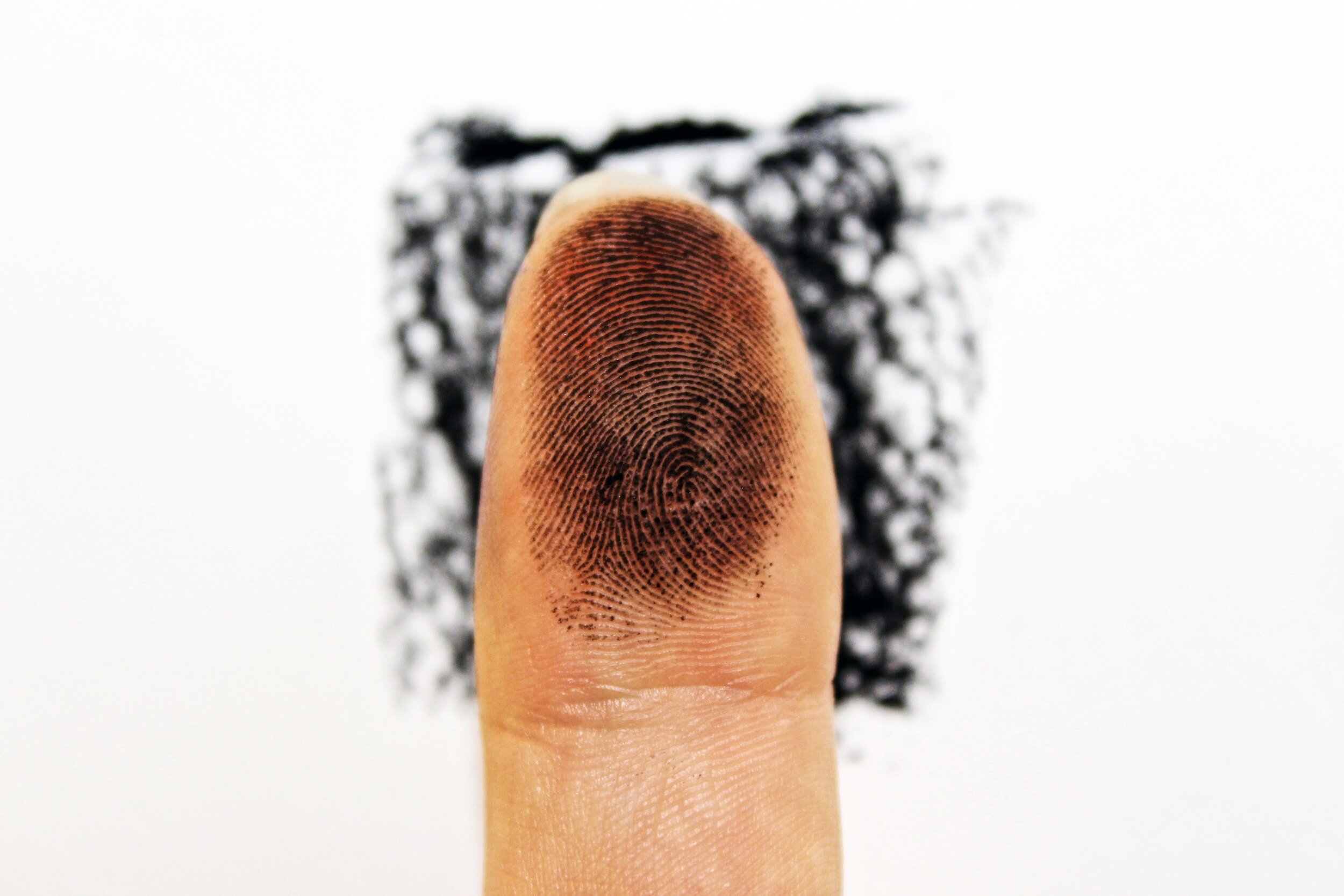 Fingerprint Portrait Art during the MSFF Fall Exhibit