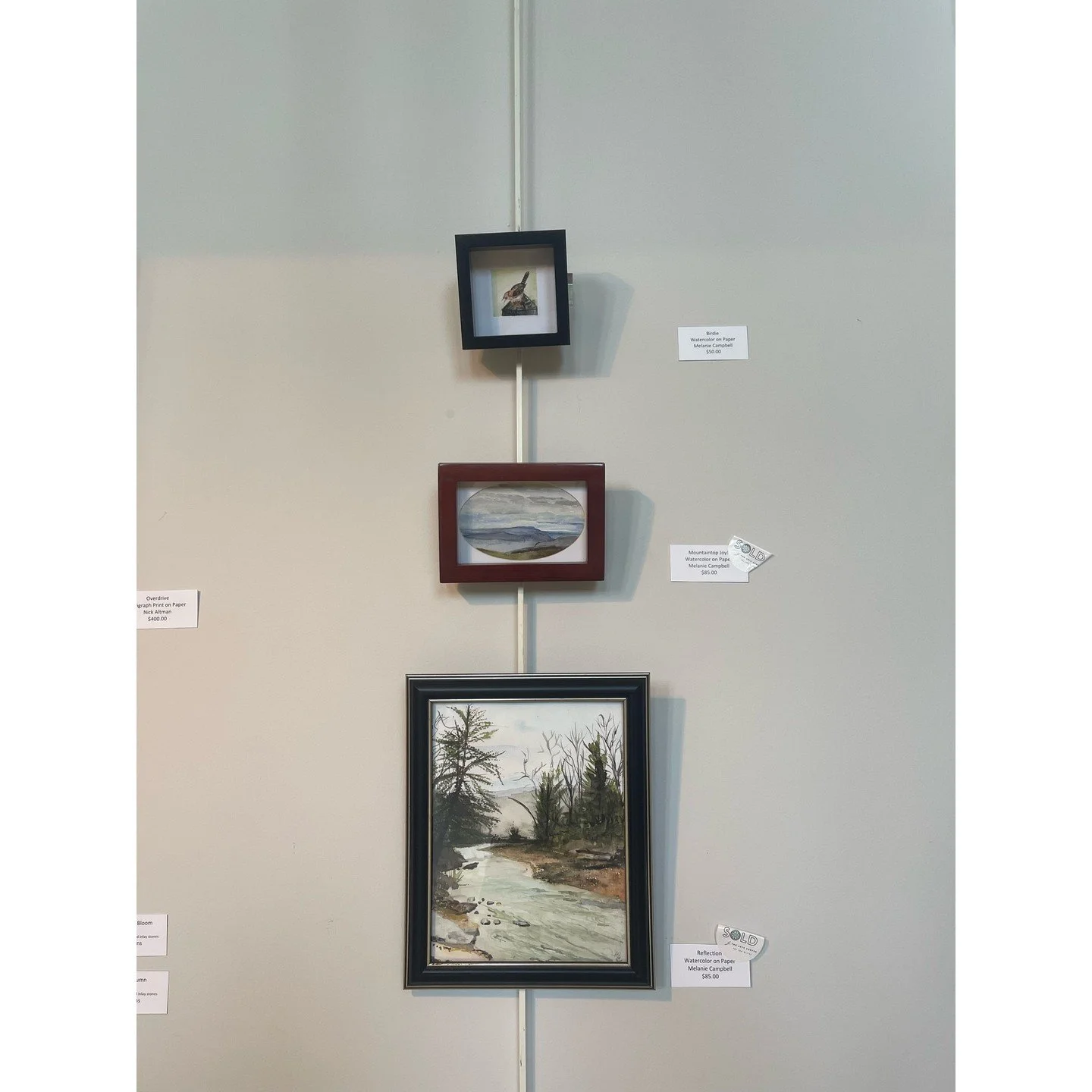 👩‍🍳 You've tasted her delicious food, now it's time to relish in her artwork 🎨
✨ Chef Melanie Campbell is an Associate Professor of Hospitality and Tourism Management at Davis & Elkins College, where she brings a dynamic blend of culina