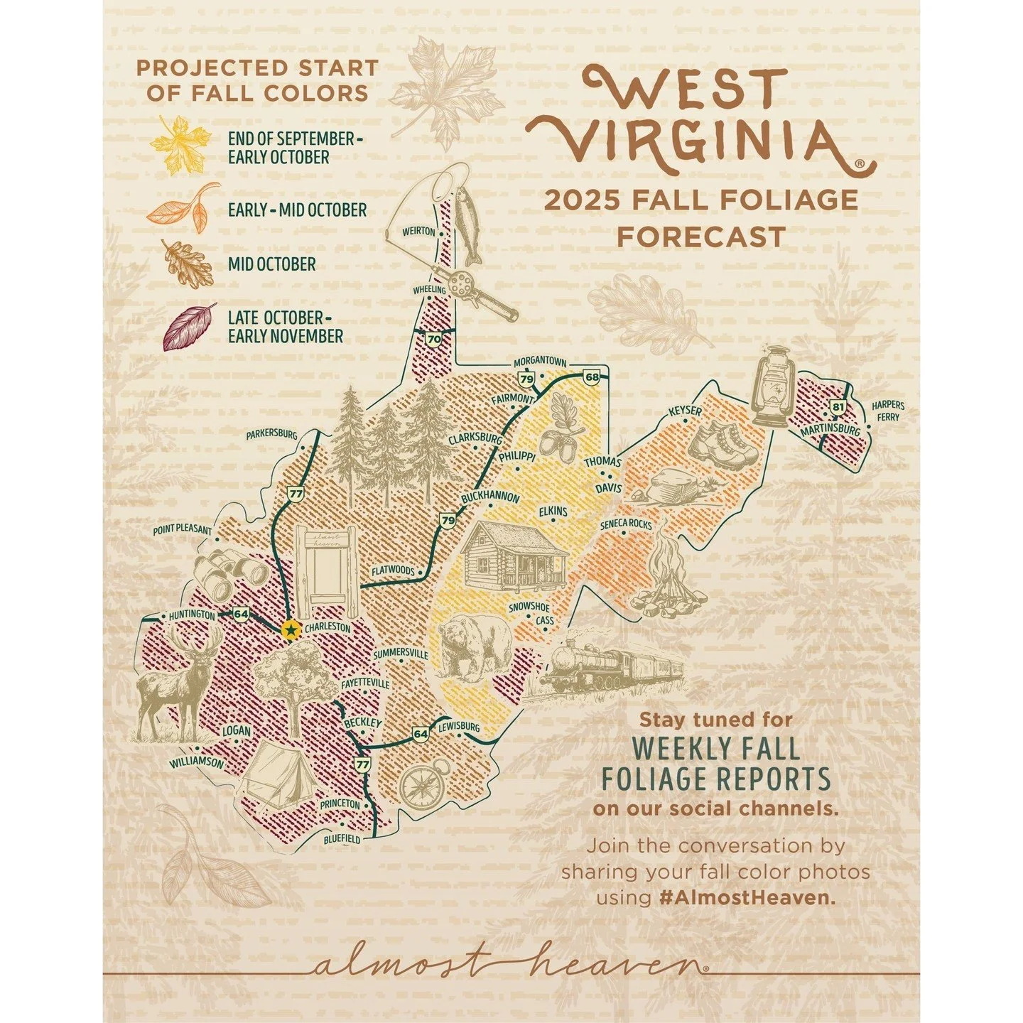 🍂You may notice the leaves are changing, the air is cooler— it’s FALL y’all! 🍁
👀Looking for ways to celebrate the turning of the leaves? Join instructor Paula Kaufman in her 4-week-long Falling into Fall Watercolors class! 🖌️Wh