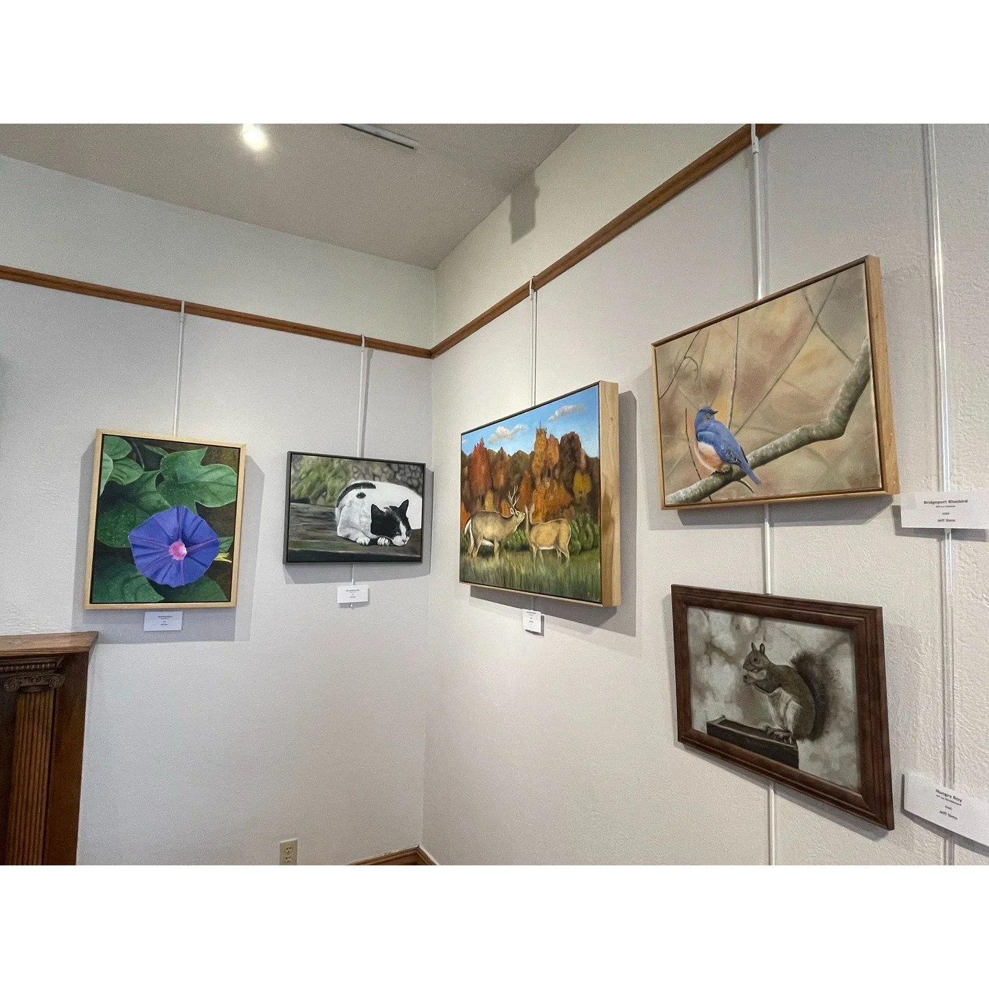 🦌Experience Jeff Sims’ backyard in his solo exhibition, “My Backyard.” 🐮
Jeff’s solo is a collection of works from North Central, WV, Southern Alabama, and other places he frequents. One was literally from his own backyard!