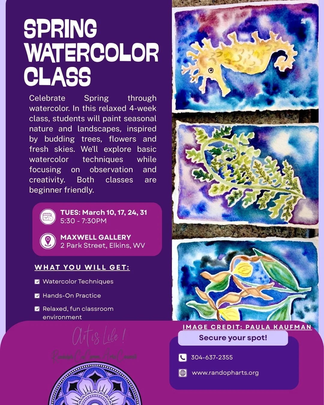 **UPDATED DATES** 

🐝🪻 Spring is (hopefully) just around the corner-- which makes it the perfect time to celebrate the changing of the seasons through watercolors with Paula Kaufman! 🐝🪻 

✨️ Celebrate the colors of spring in this welcoming beginn